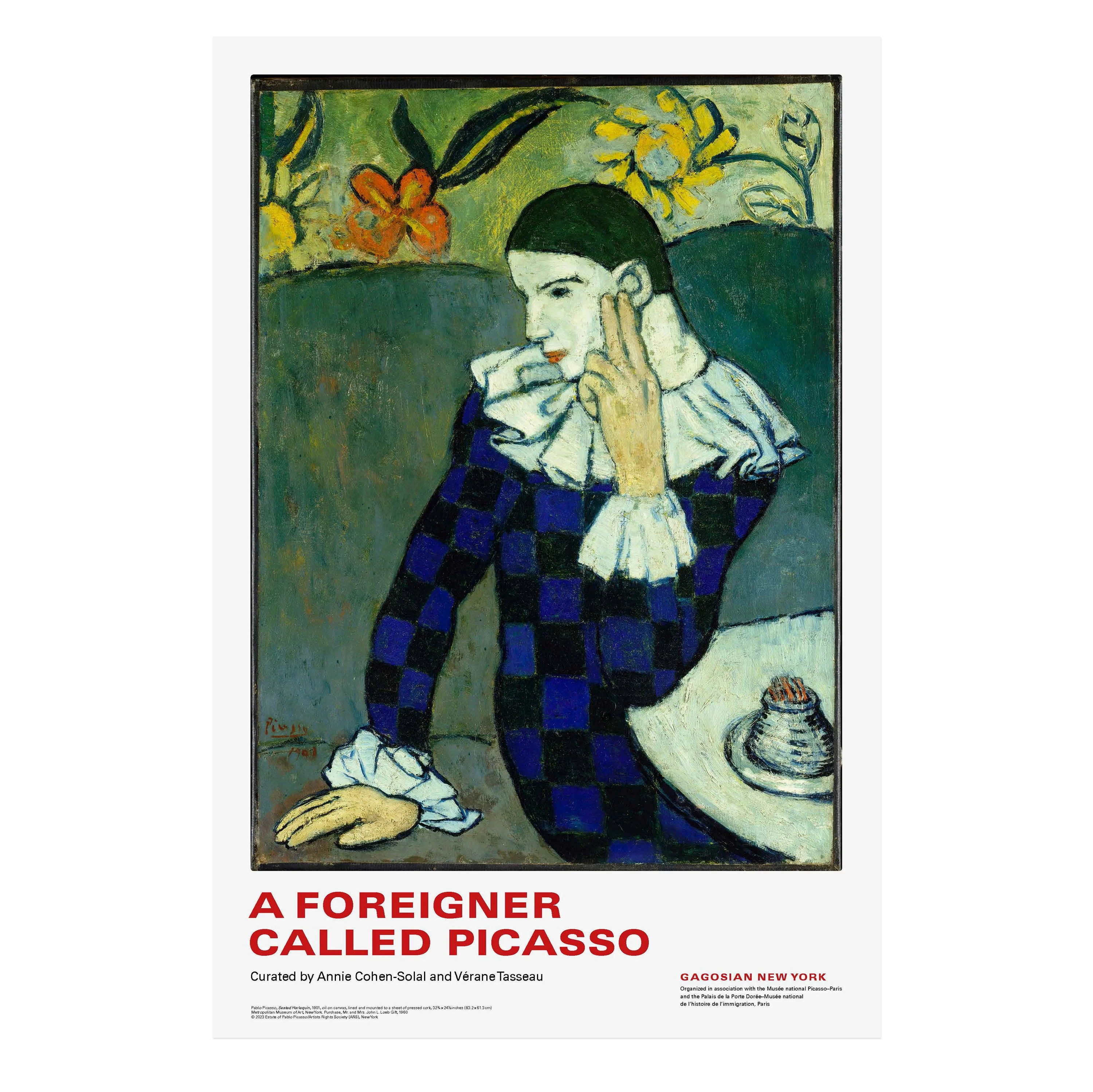 A Foreigner Called Picasso
