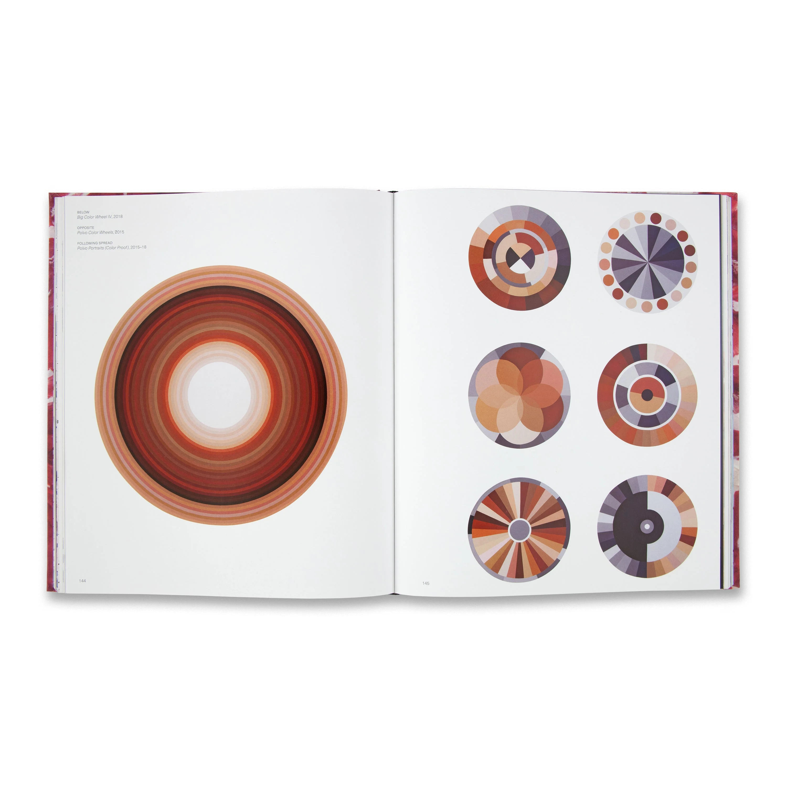 Adriana Varejão - Image 3
