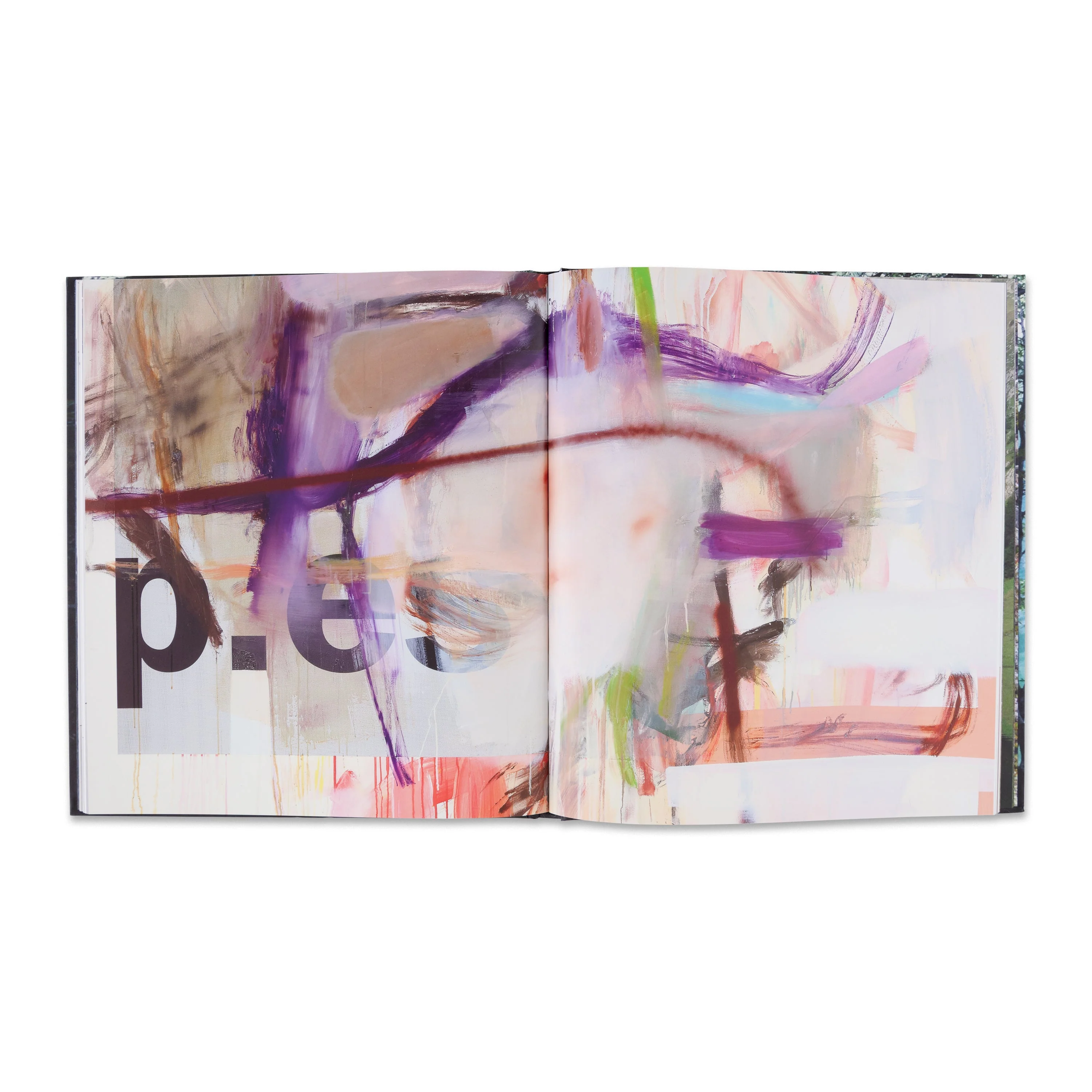 Albert Oehlen: New Paintings - Image 3