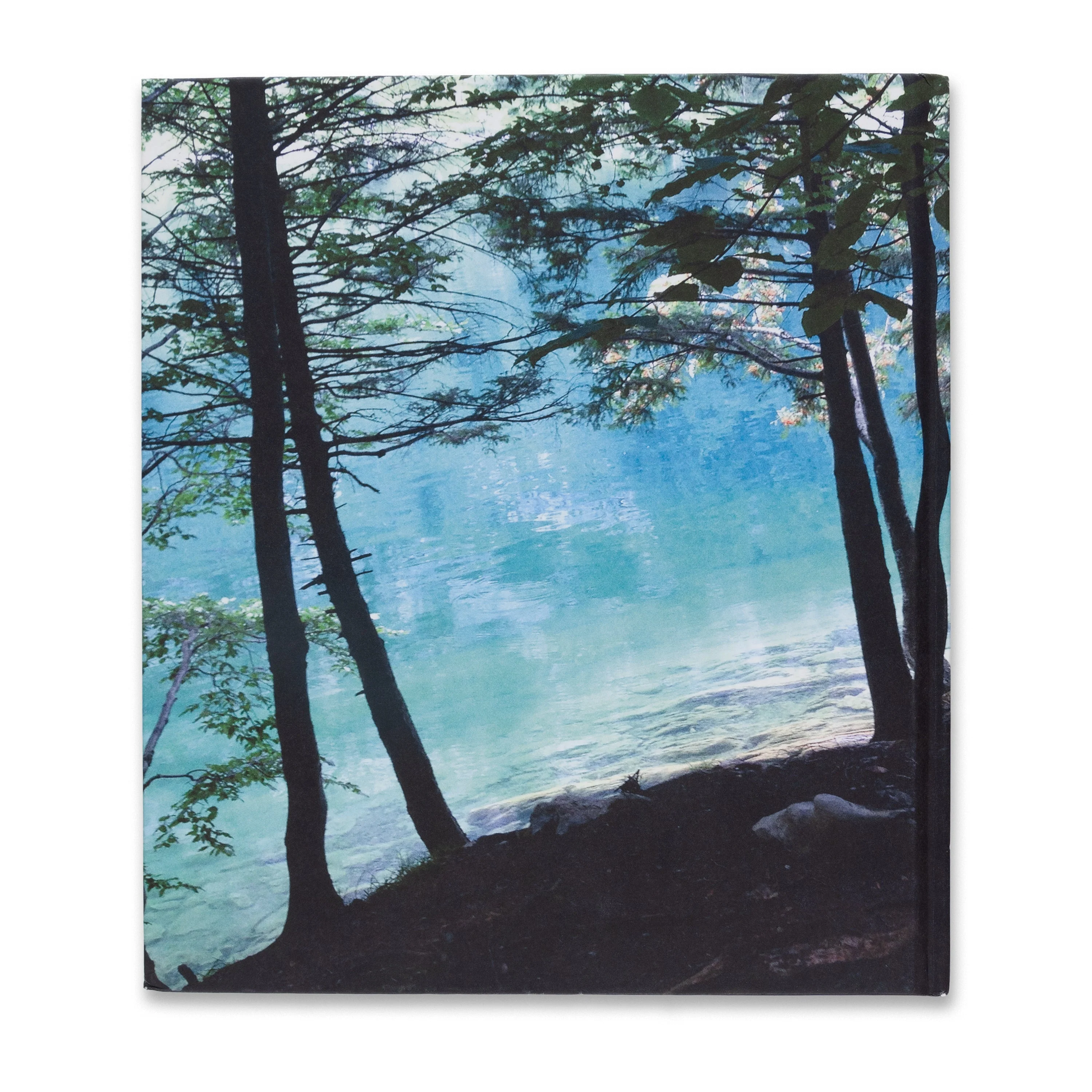 Albert Oehlen: New Paintings - Image 5