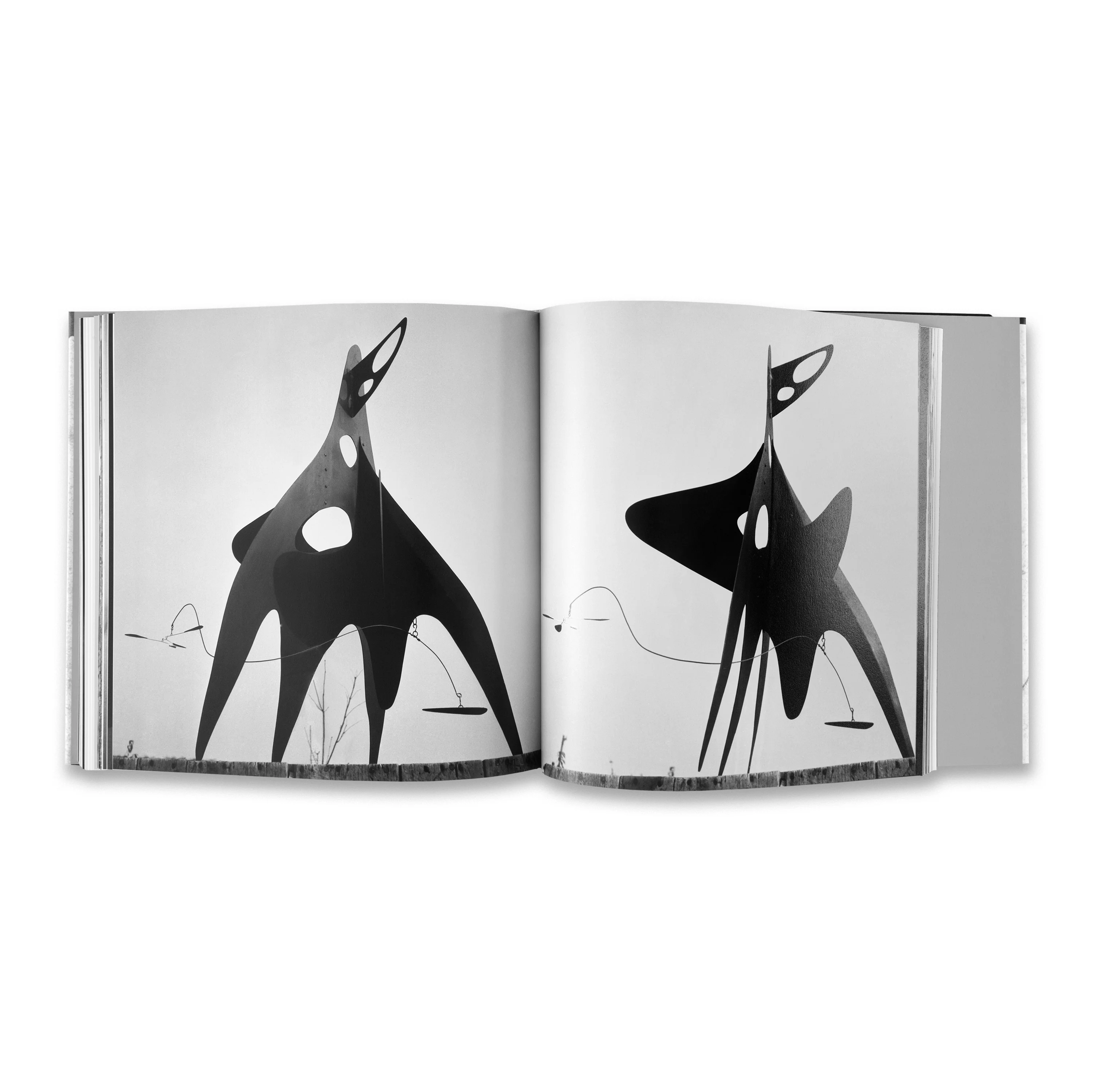 Calder by Matter - Image 5