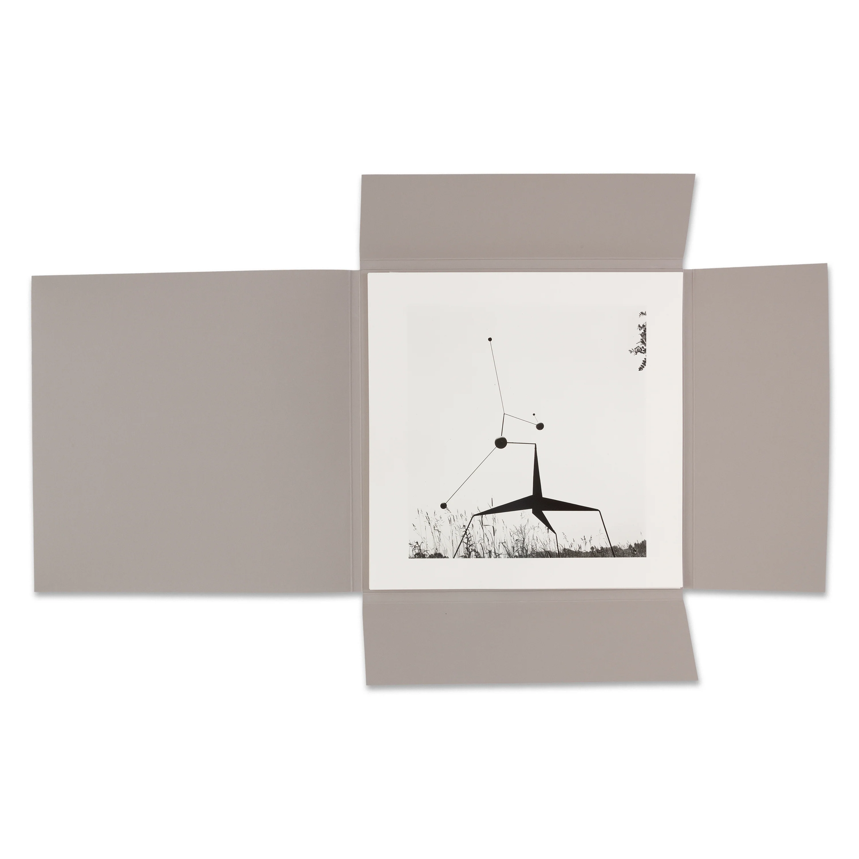 Calder by Matter - Image 6