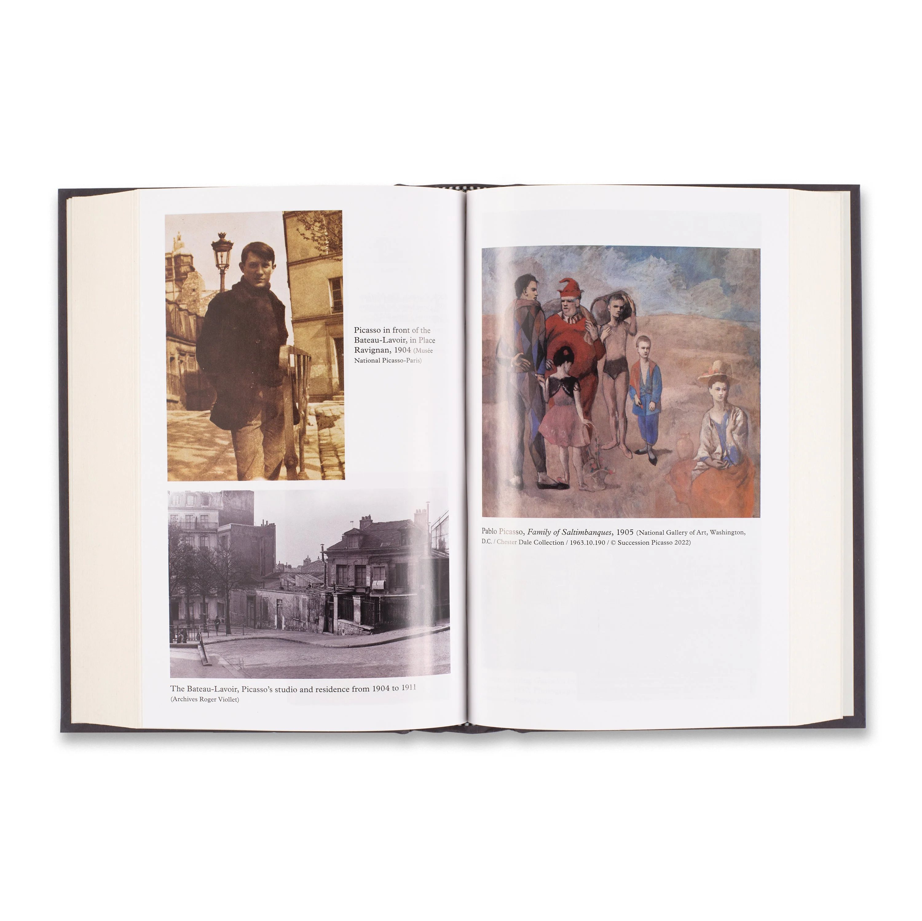 Annie Cohen-Solal: Picasso the Foreigner: An Artist in France, 1900–1973 - Image 3