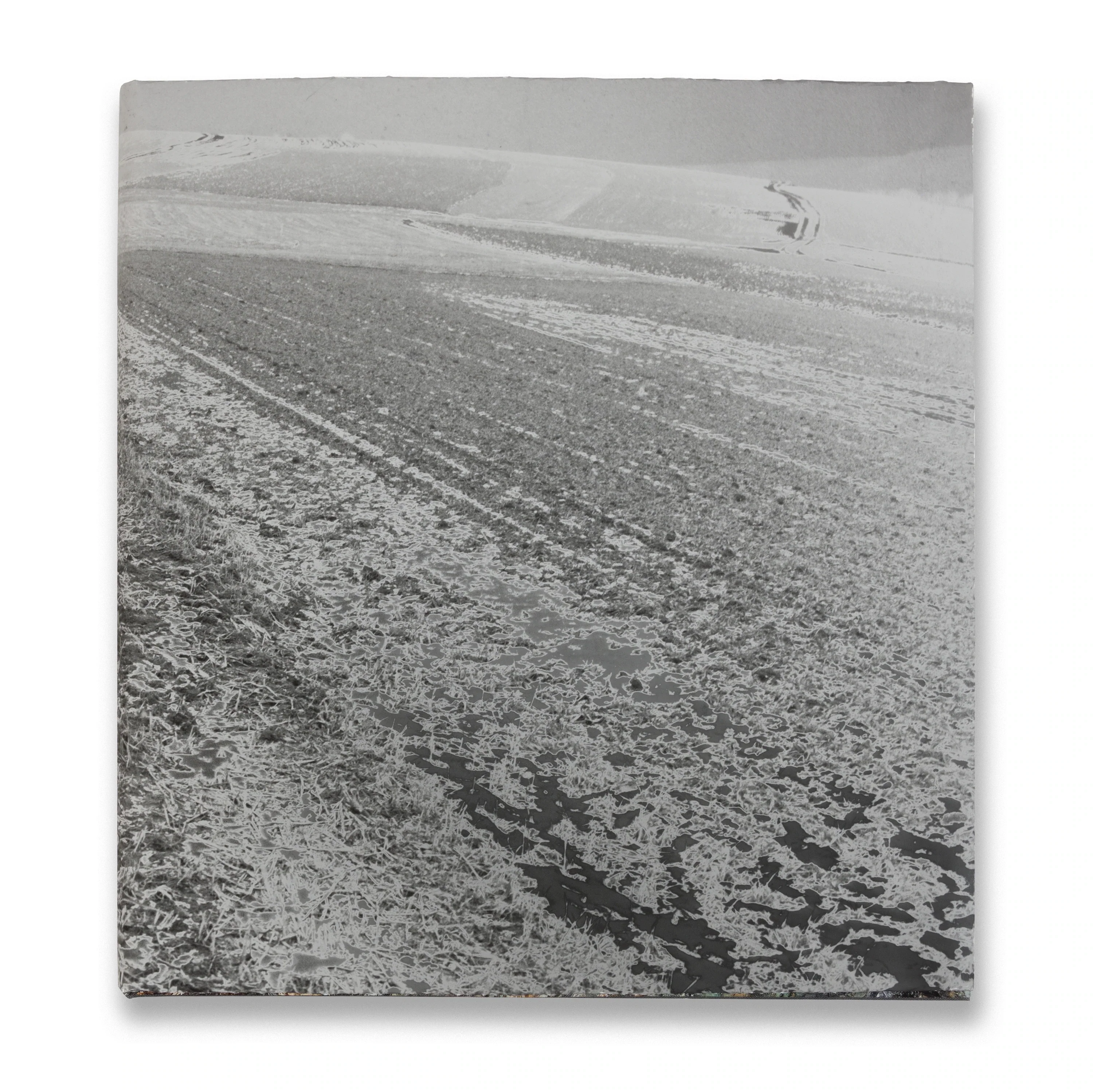 Anselm Kiefer - Image 3