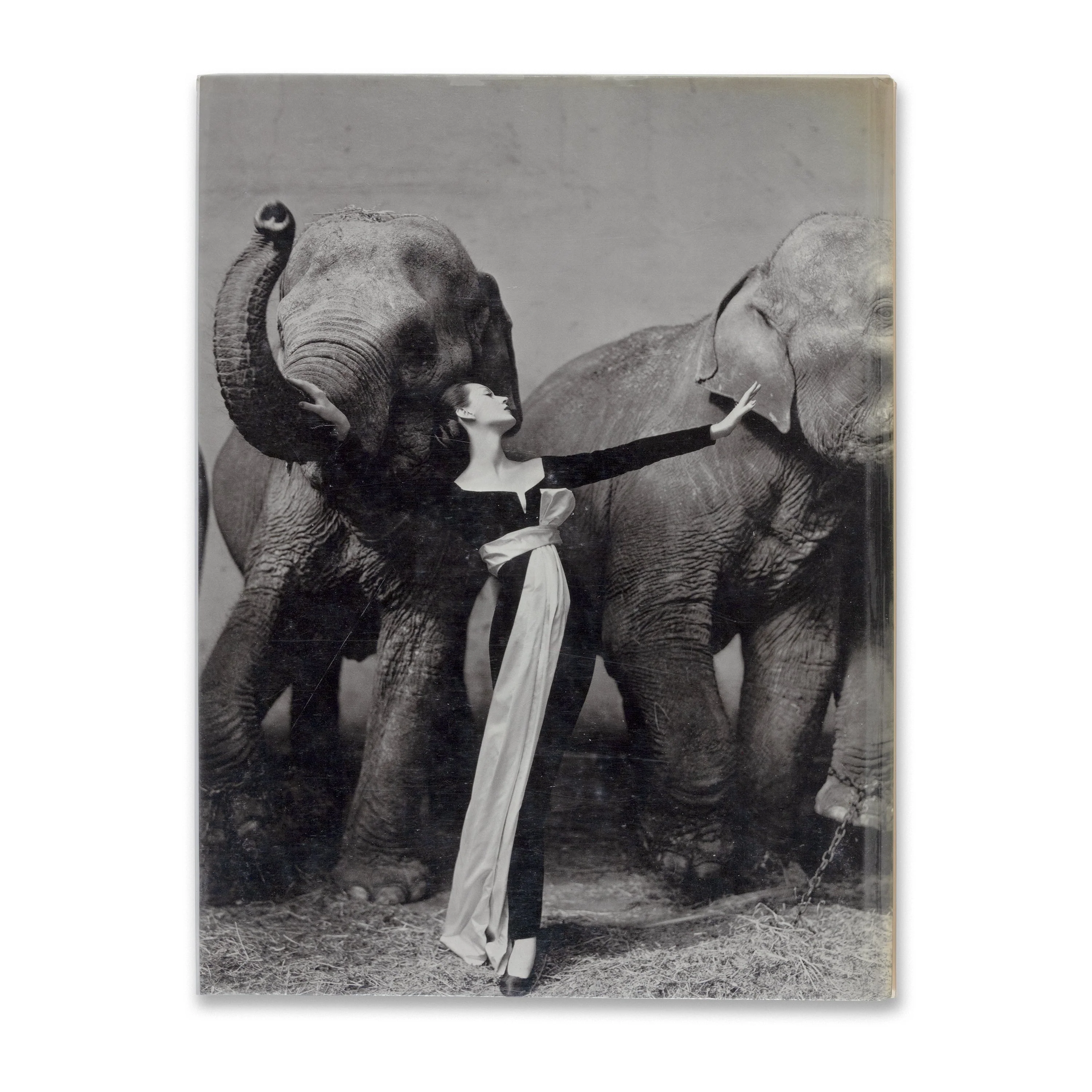Avedon: Photographs 1947–1977 - Image 5