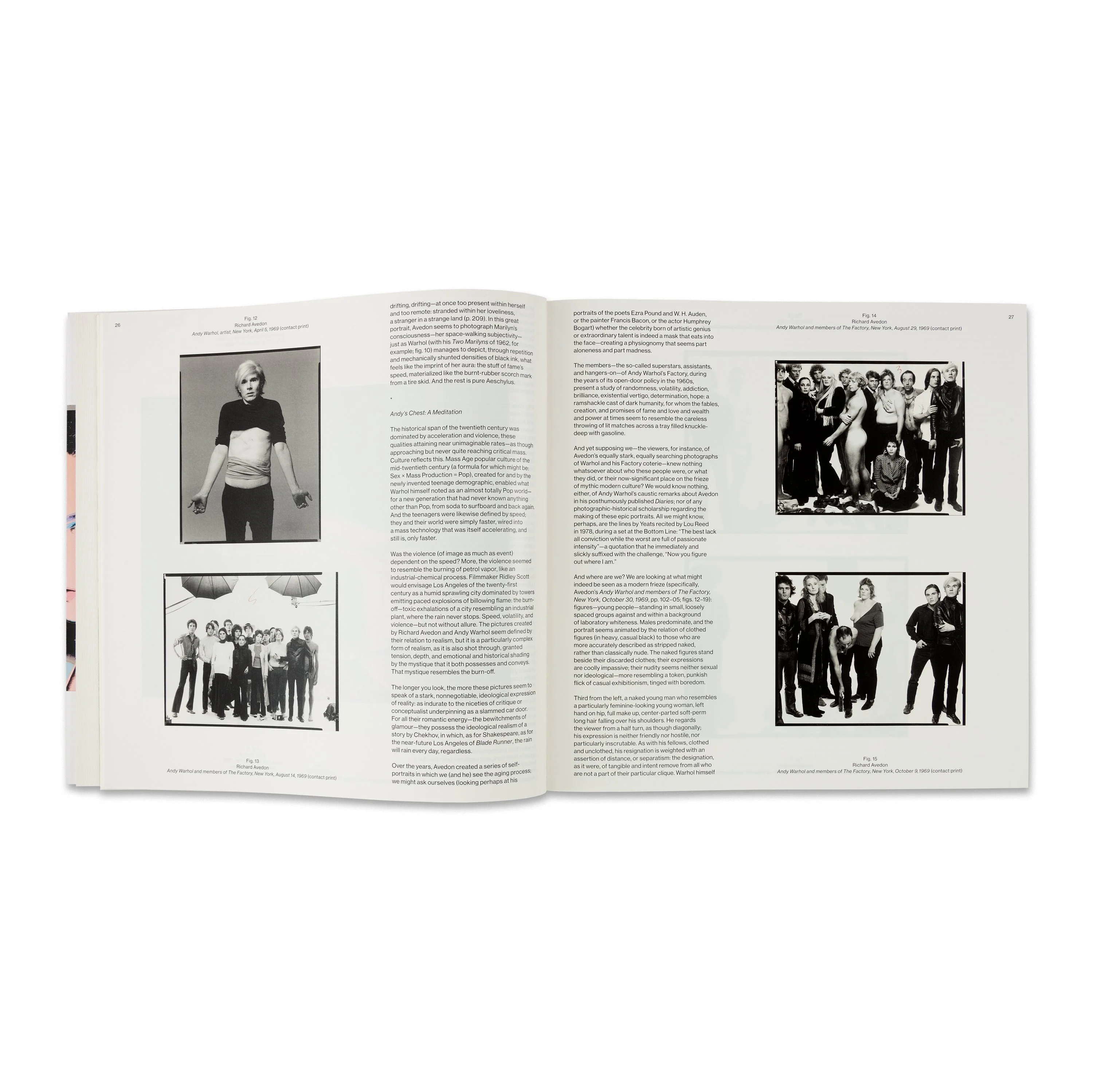 Avedon Warhol - Image 3
