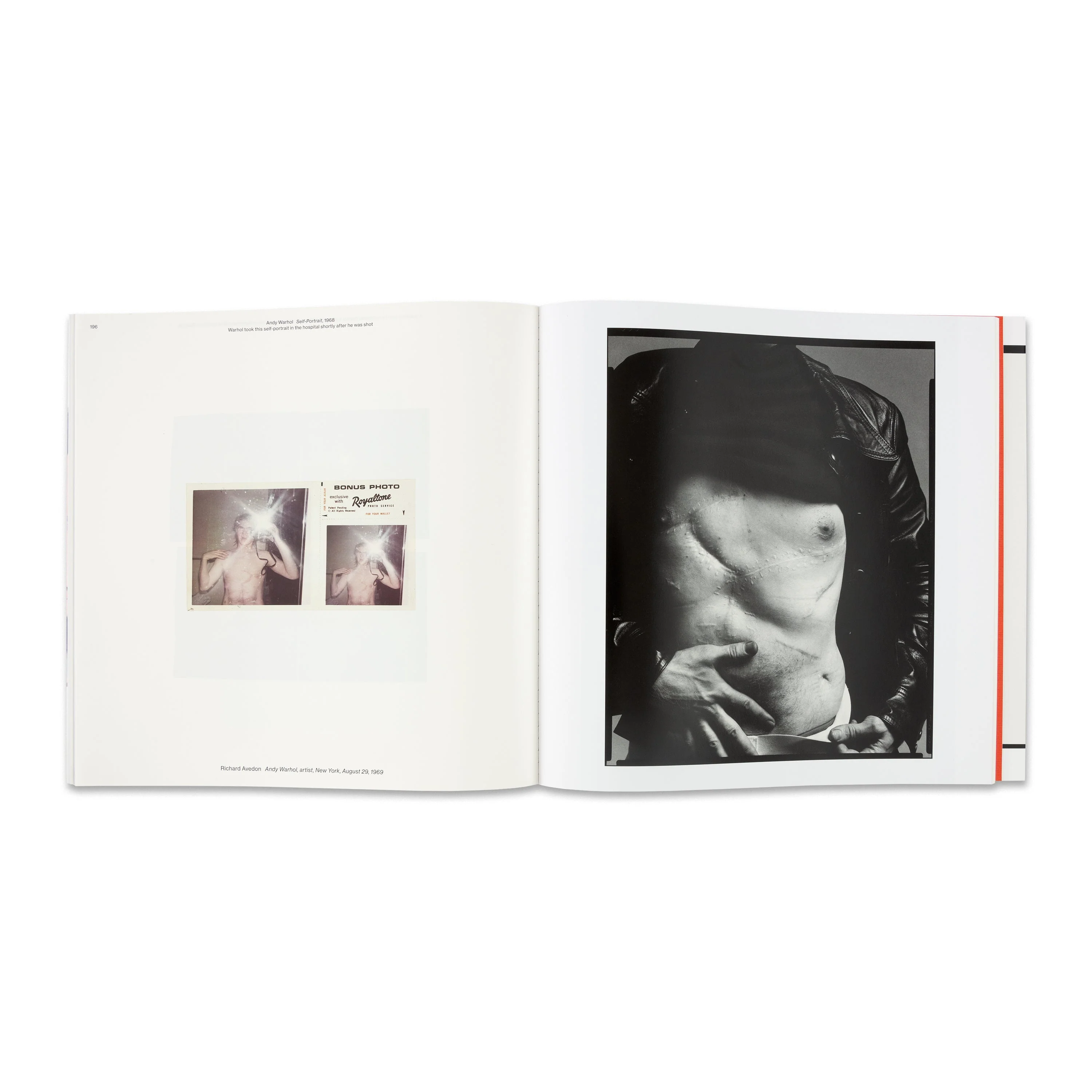 Avedon Warhol - Image 5