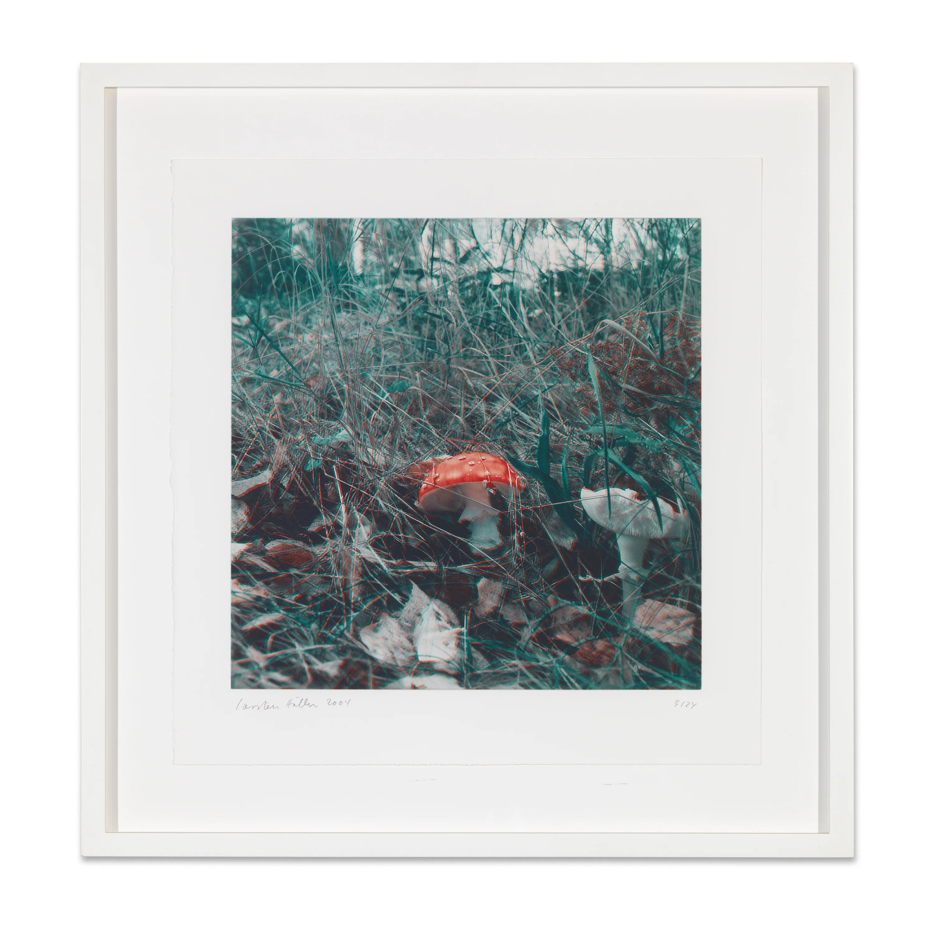 Carsten Höller: Mushroom - Image 3