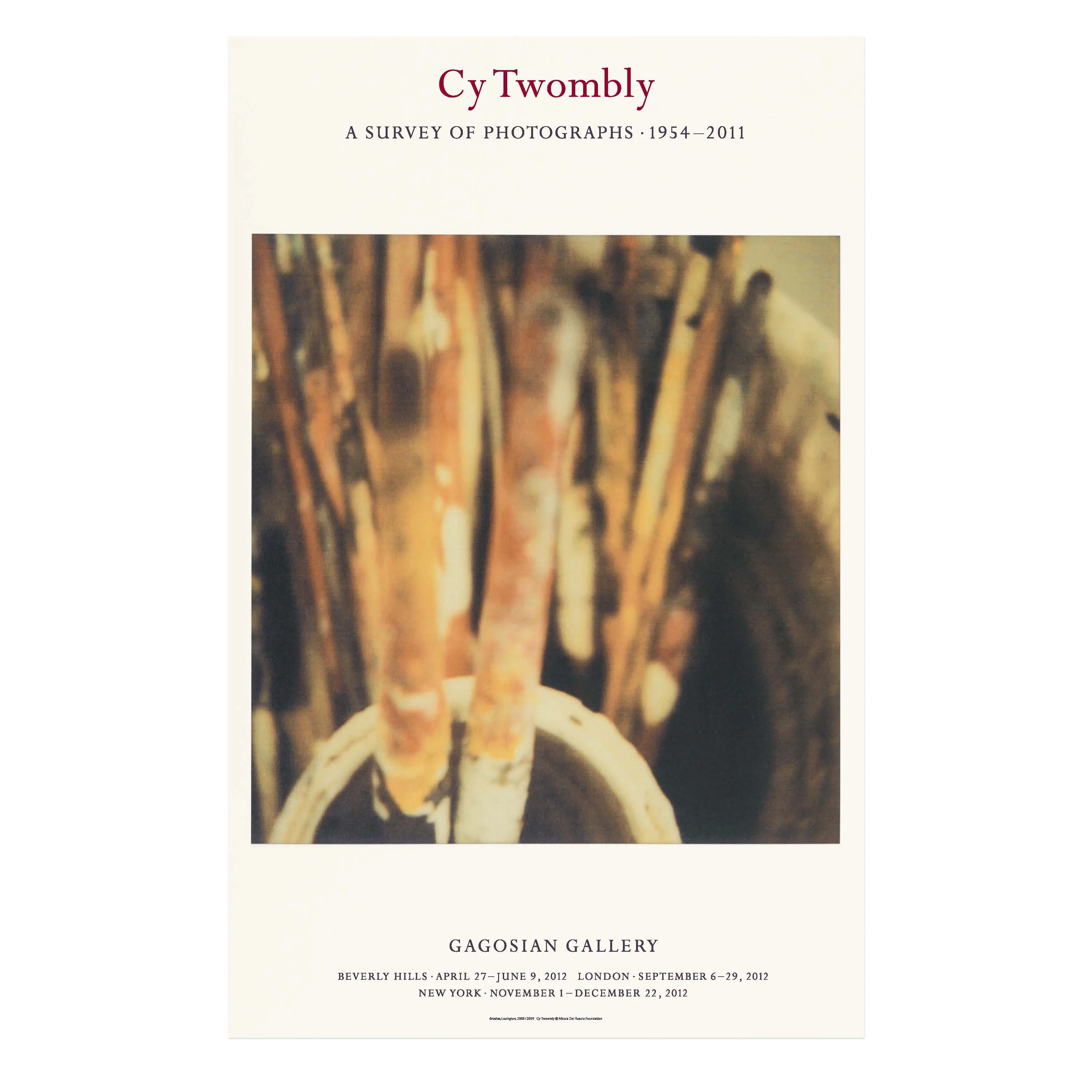 Cy Twombly: A Survey of Photographs, 1954–2011