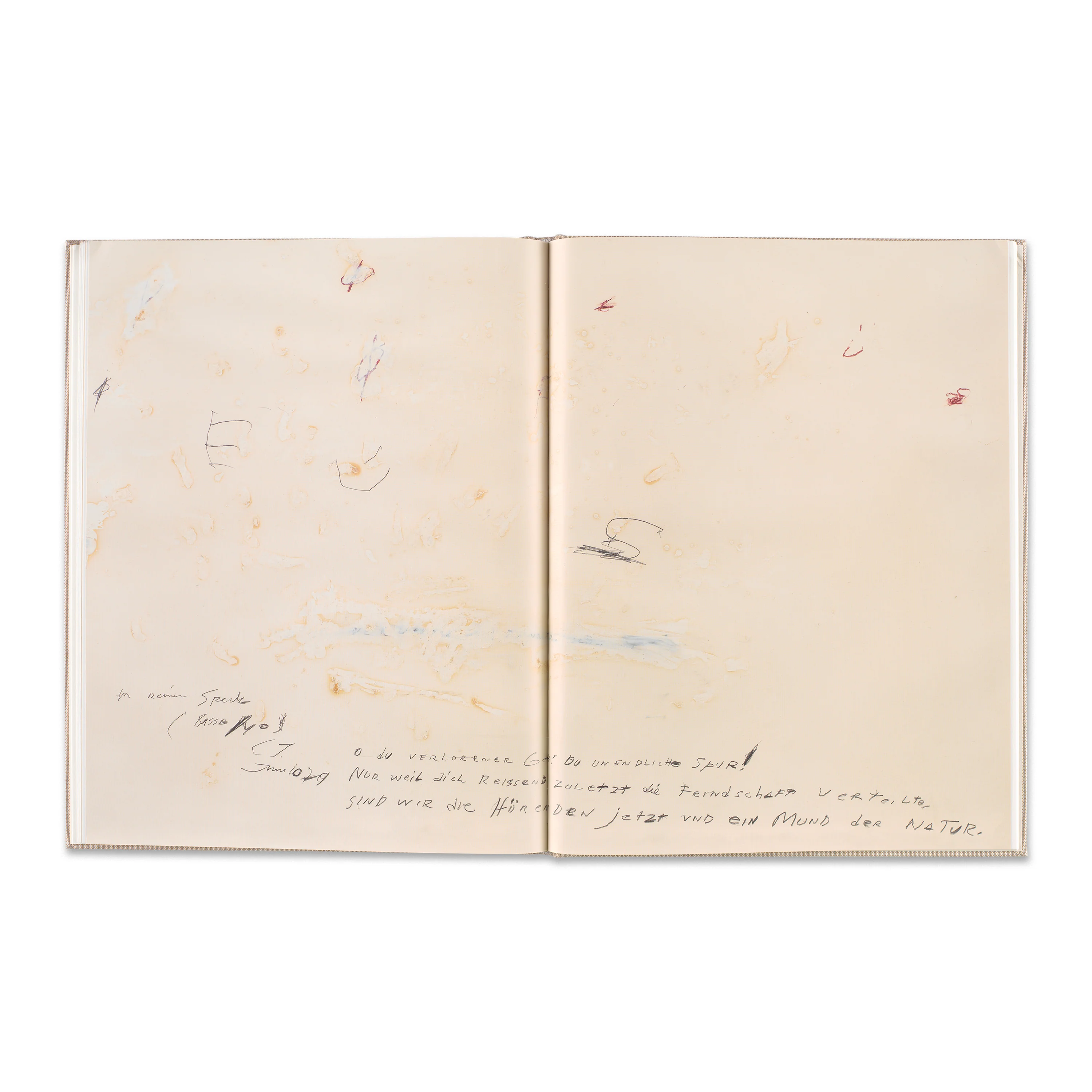 Cy Twombly: Orpheus - Image 4