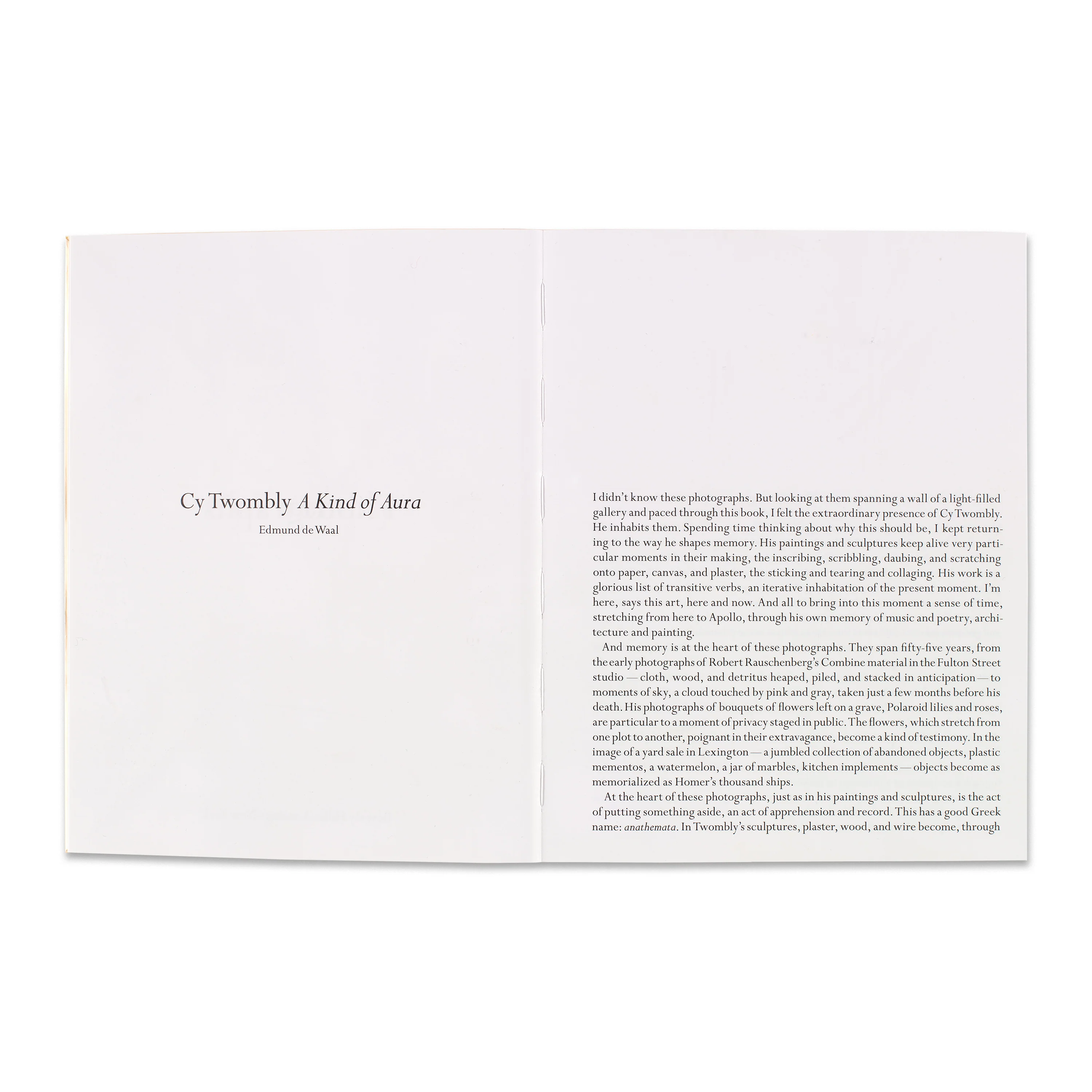 Cy Twombly: Photographs - Image 2