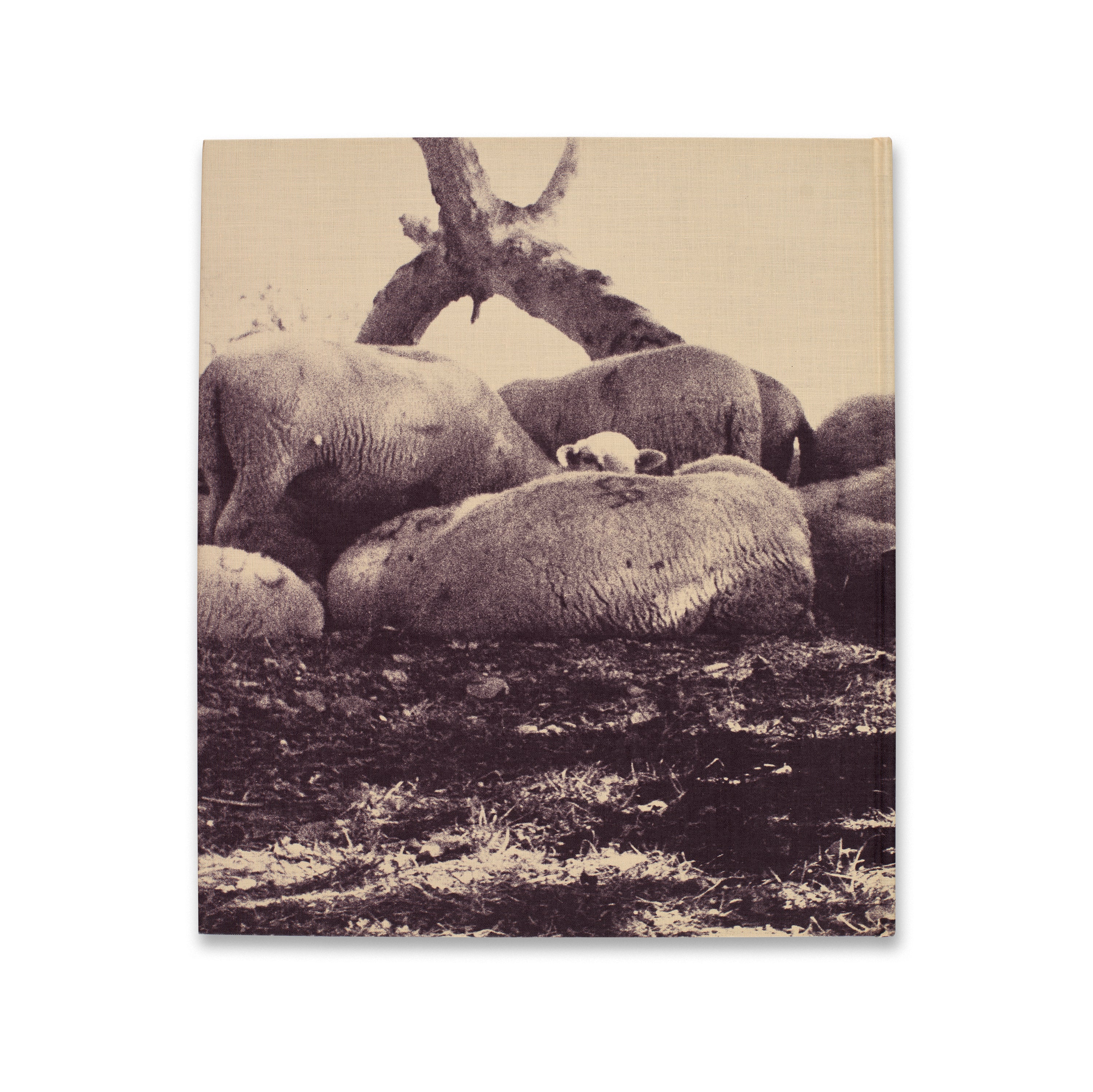 Cy Twombly: Zeichnungen & Bilder Set - Image 9
