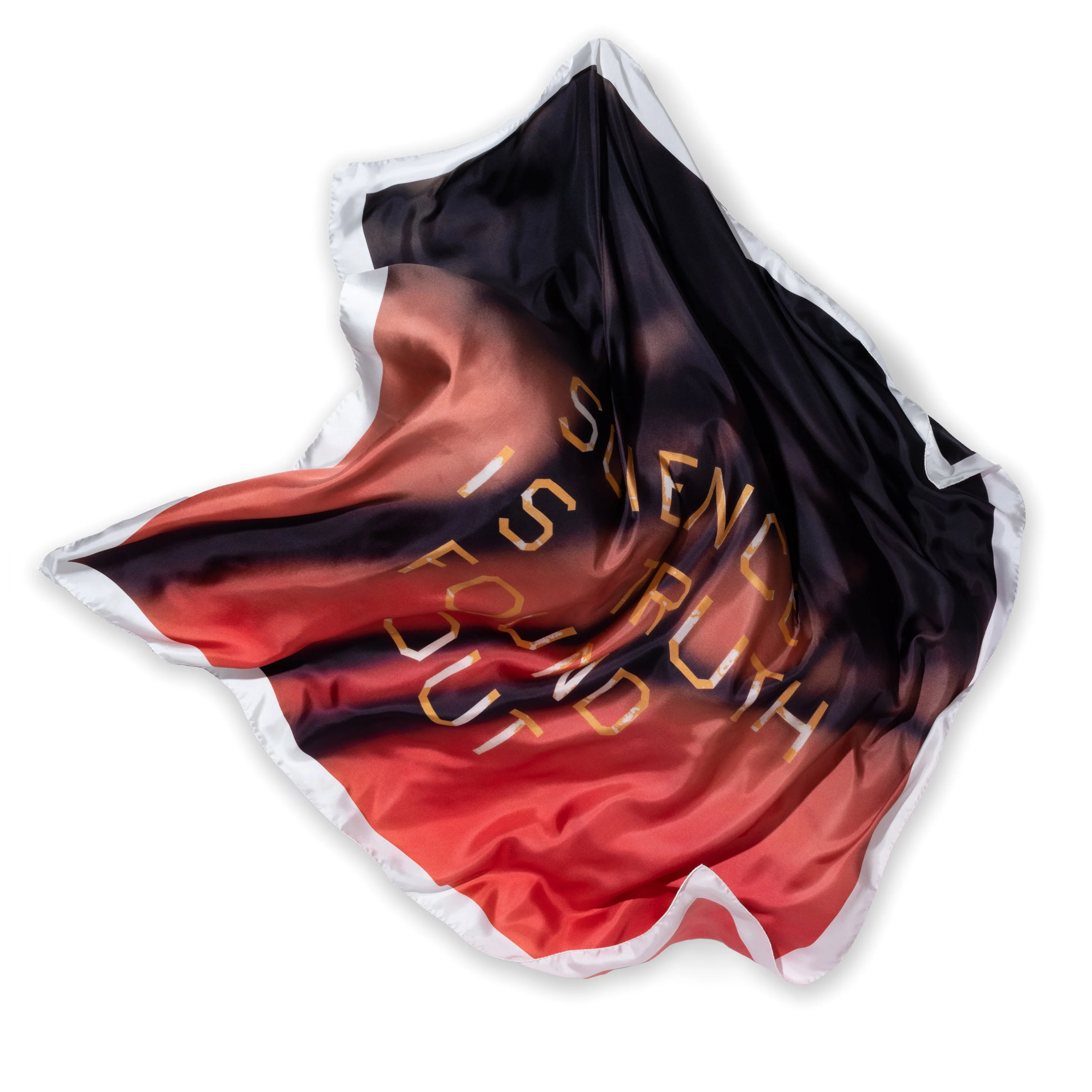 Ed Ruscha: Science Is Truth Found Out (RED)ITION Spring 2022 Scarf - Image 3