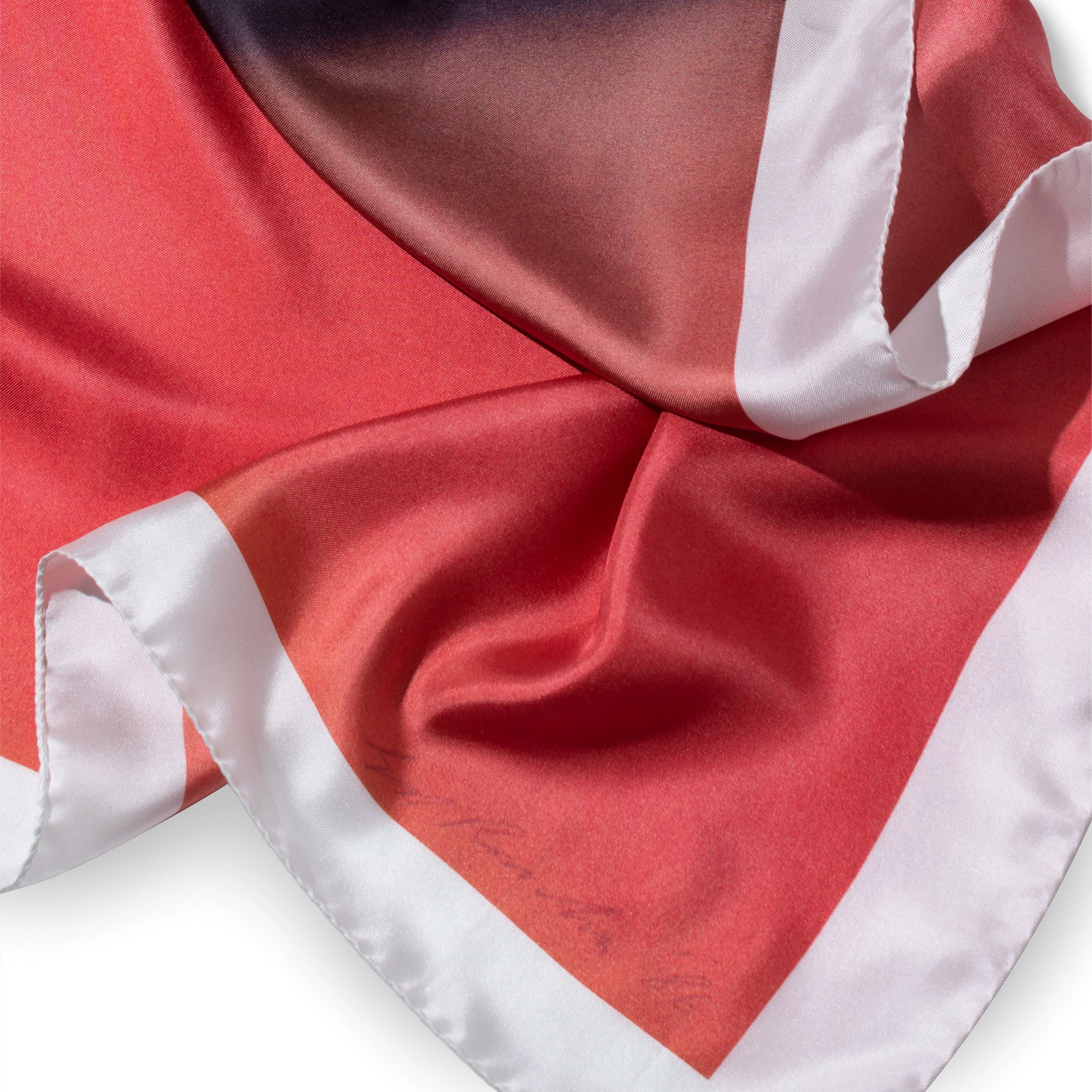 Ed Ruscha: Science Is Truth Found Out (RED)ITION Spring 2022 Scarf - Image 5
