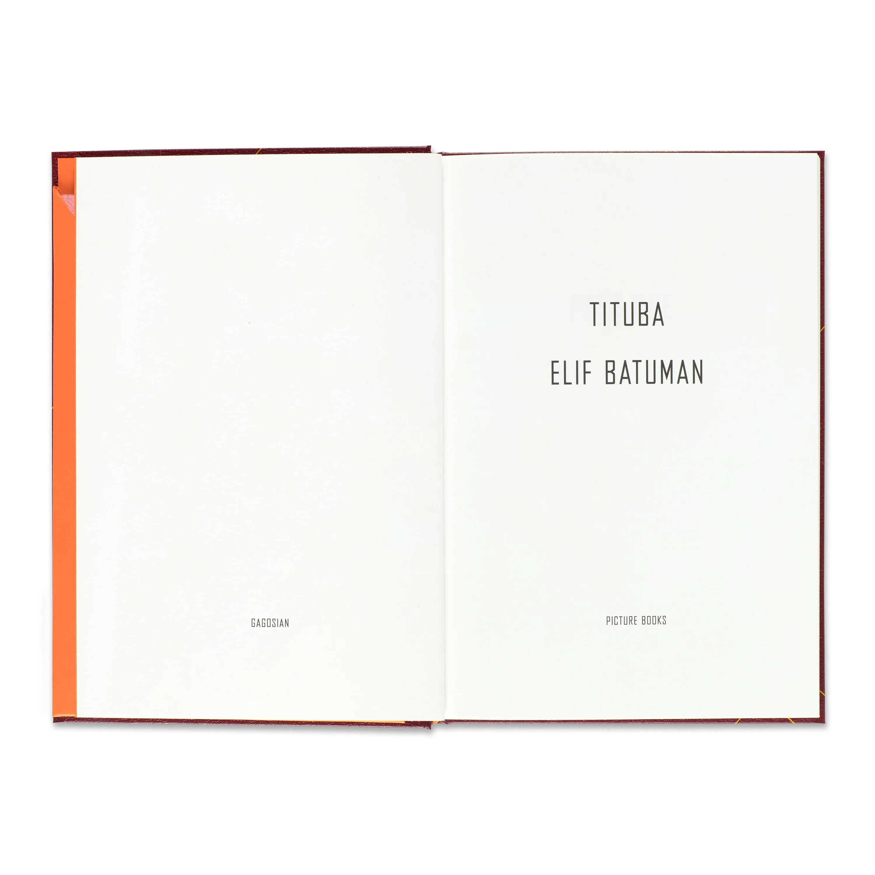 Tituba / Enclosure 1 - Image 4