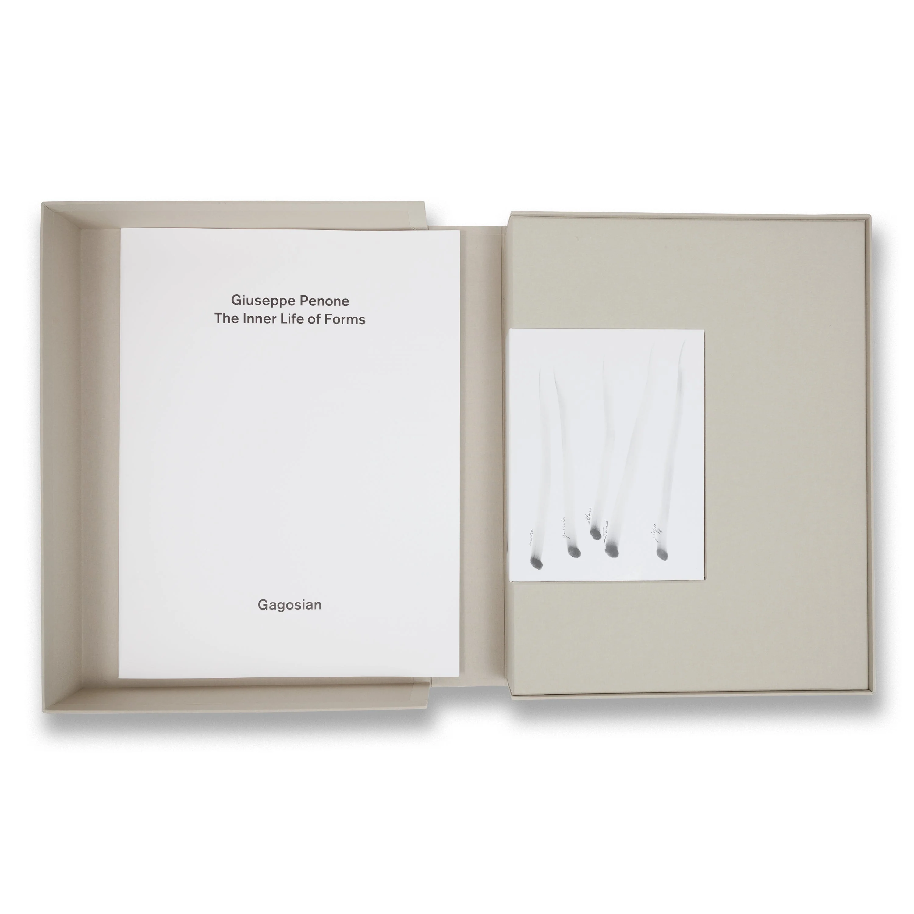 Giuseppe Penone: Identity (Black) - Image 3