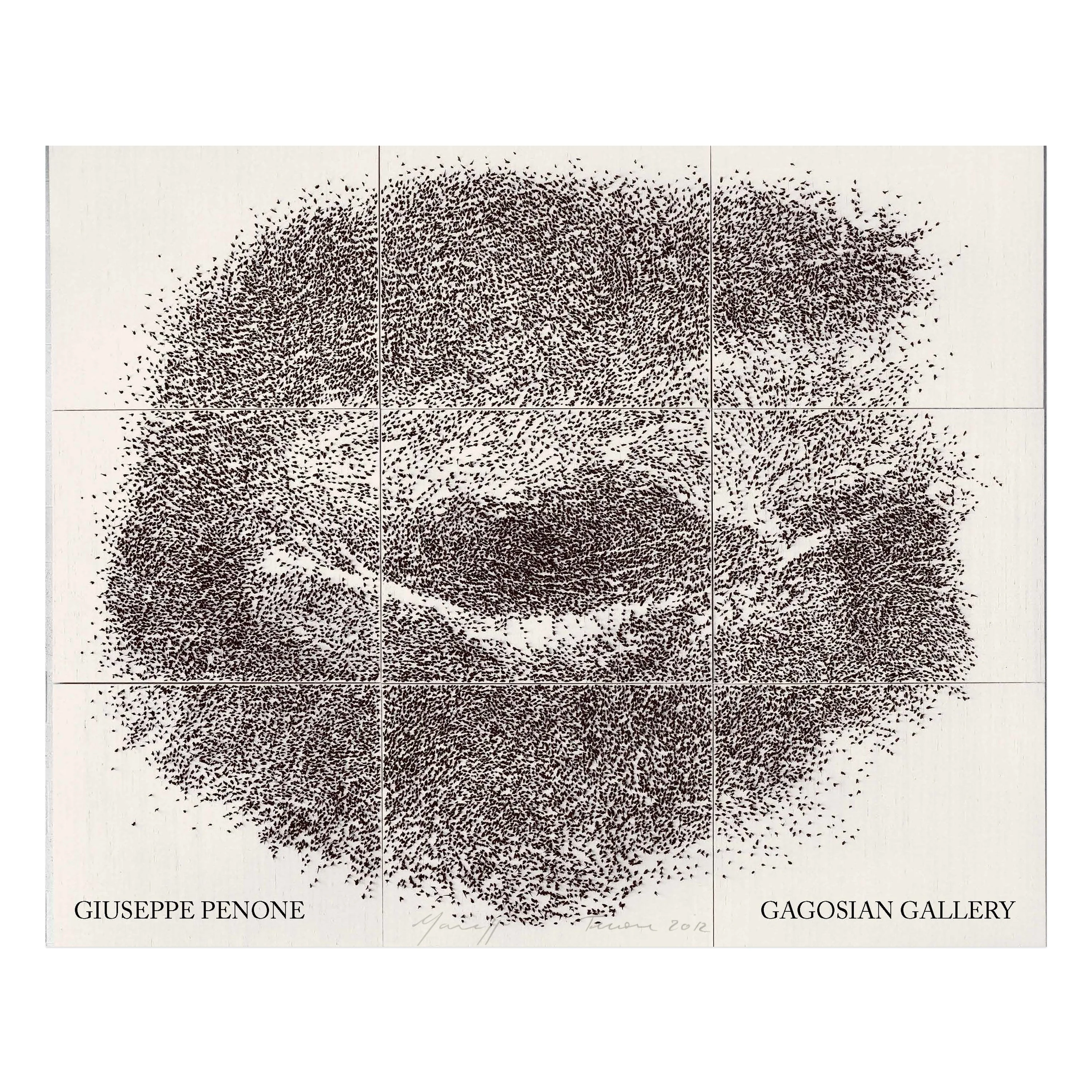Giuseppe Penone: Intersecting Gaze / Sguardo incrociato - Image 2