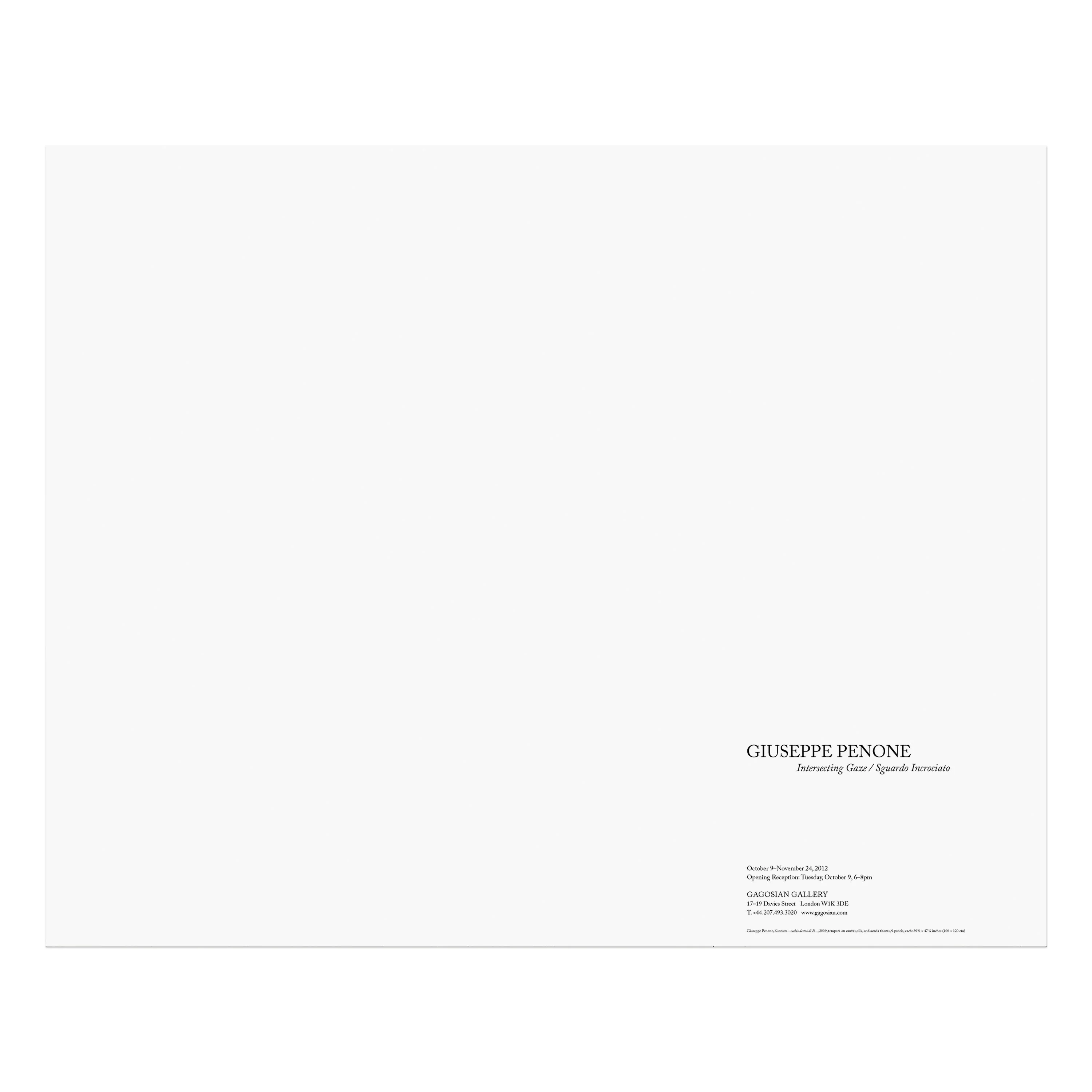 Giuseppe Penone: Intersecting Gaze / Sguardo incrociato - Image 3