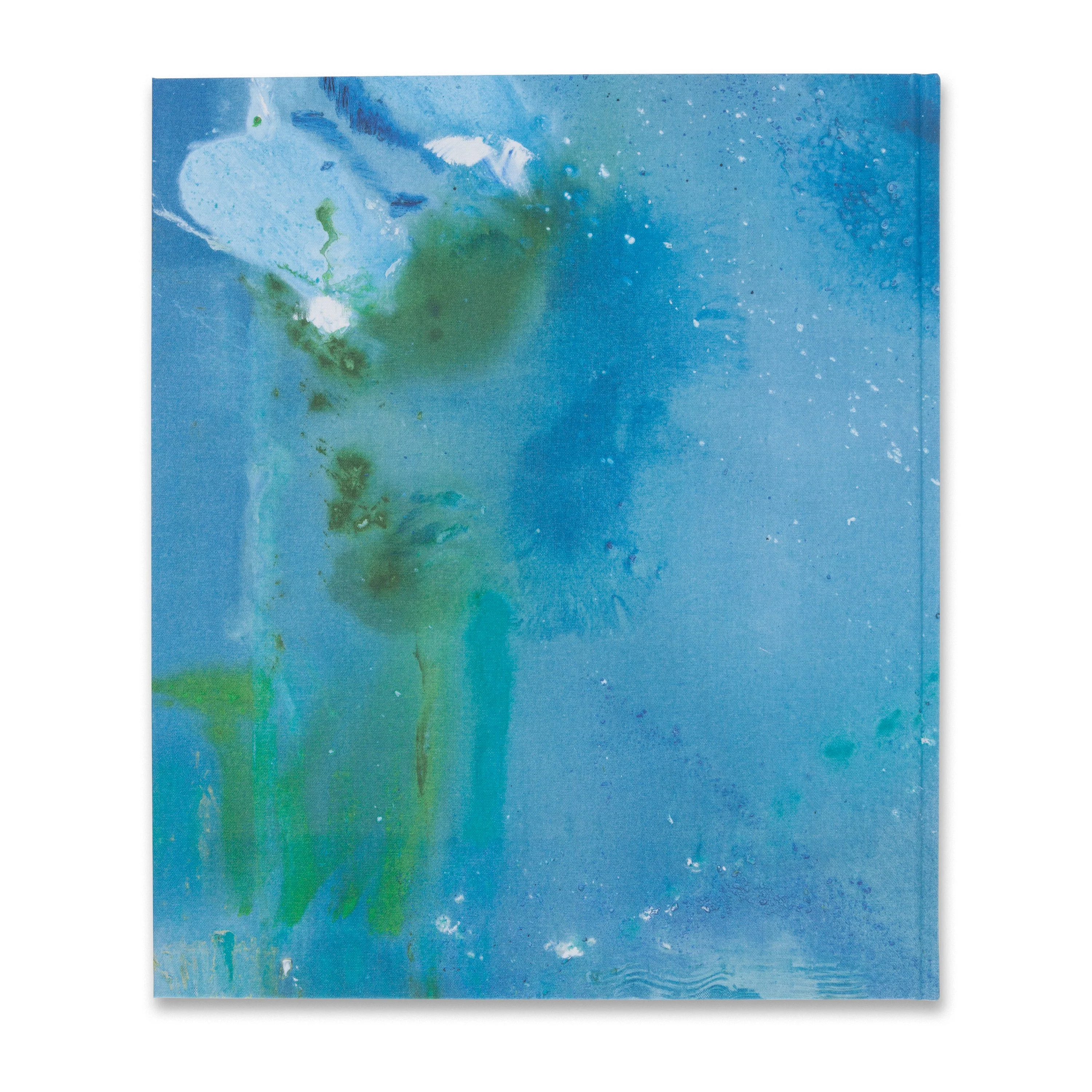 Helen Frankenthaler: Drawing within Nature: Paintings from the 1990s - Image 5