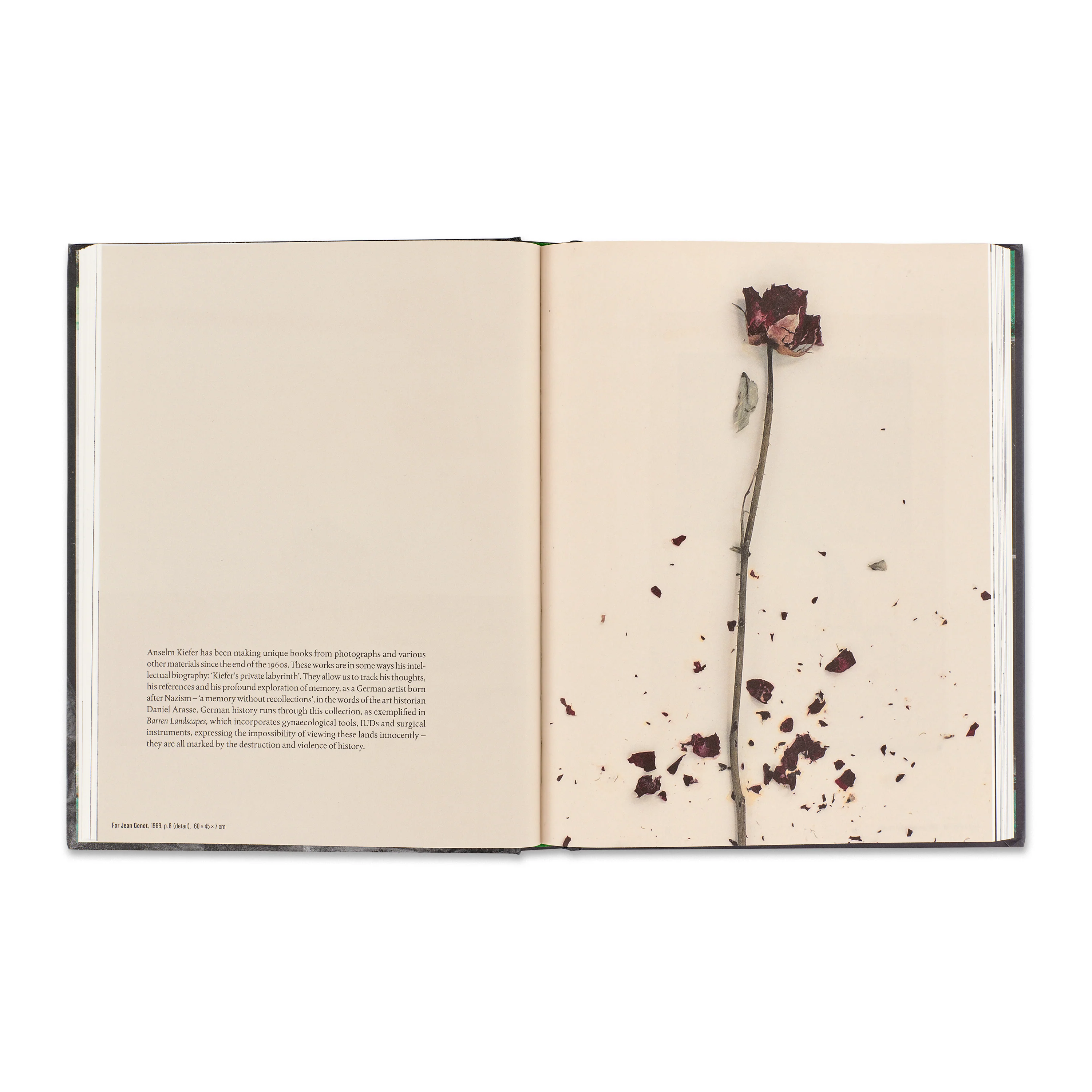 In the Beginning: Anselm Kiefer & Photography - Image 4