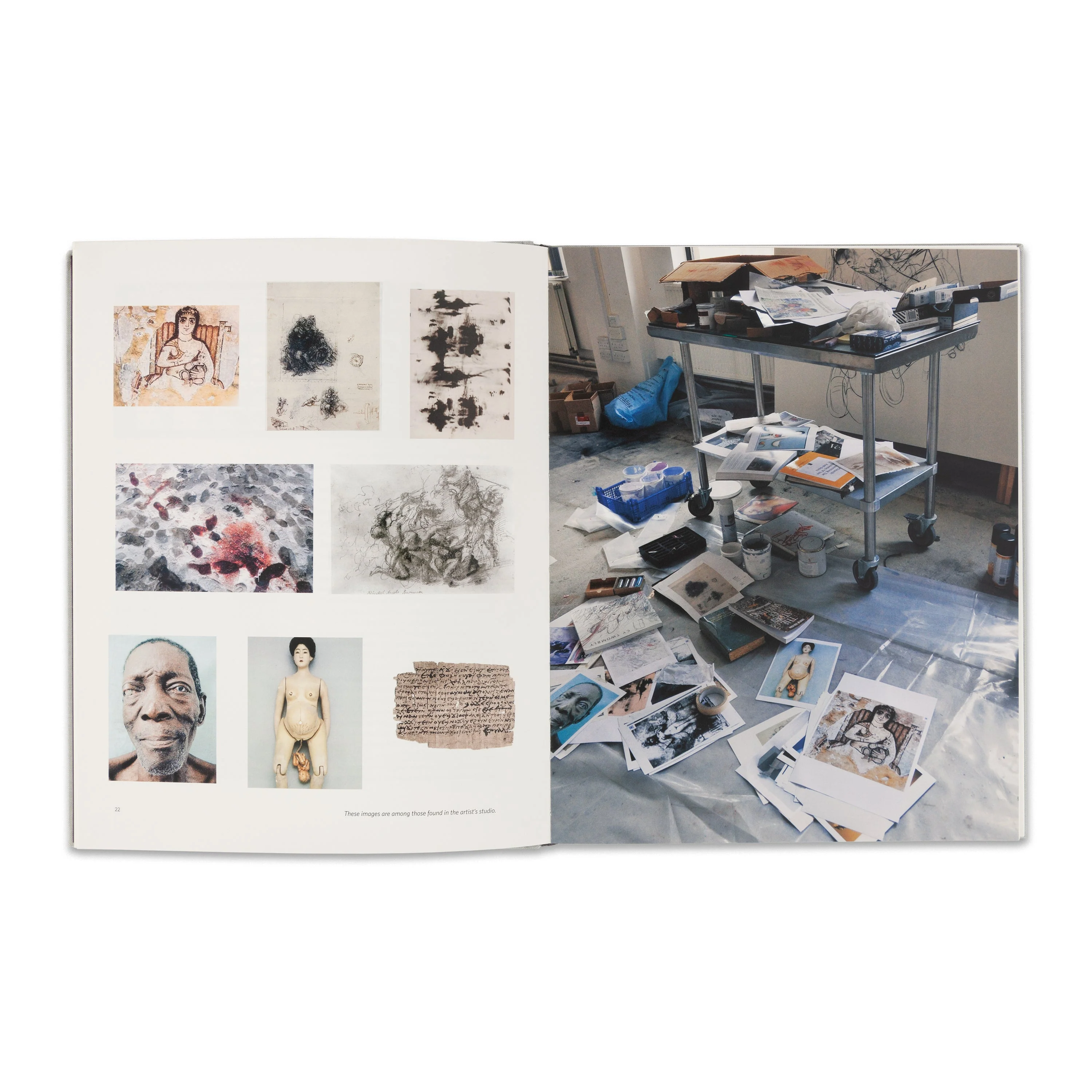 Jenny Saville - Image 3