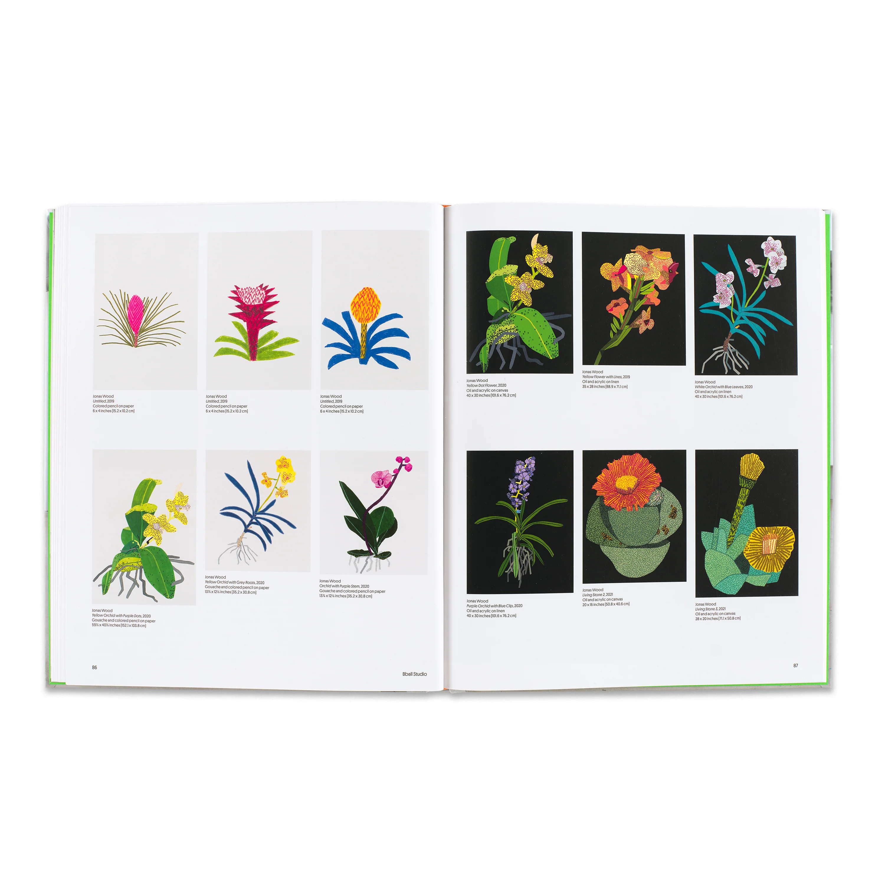 Jonas Wood: Plants and Animals - Image 4