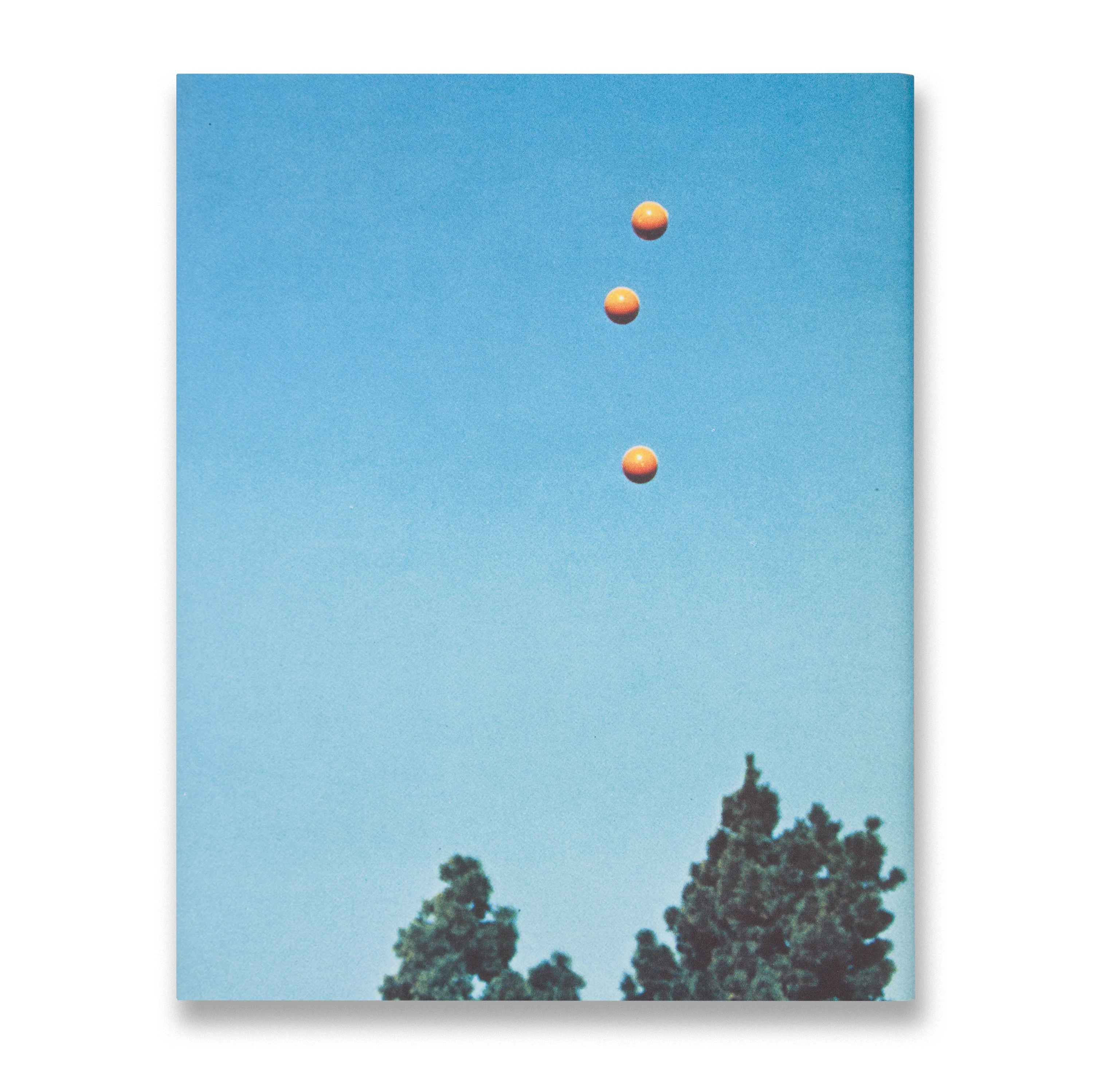 Light Years: Conceptual Art and the Photograph, 1964–1977 - Image 5