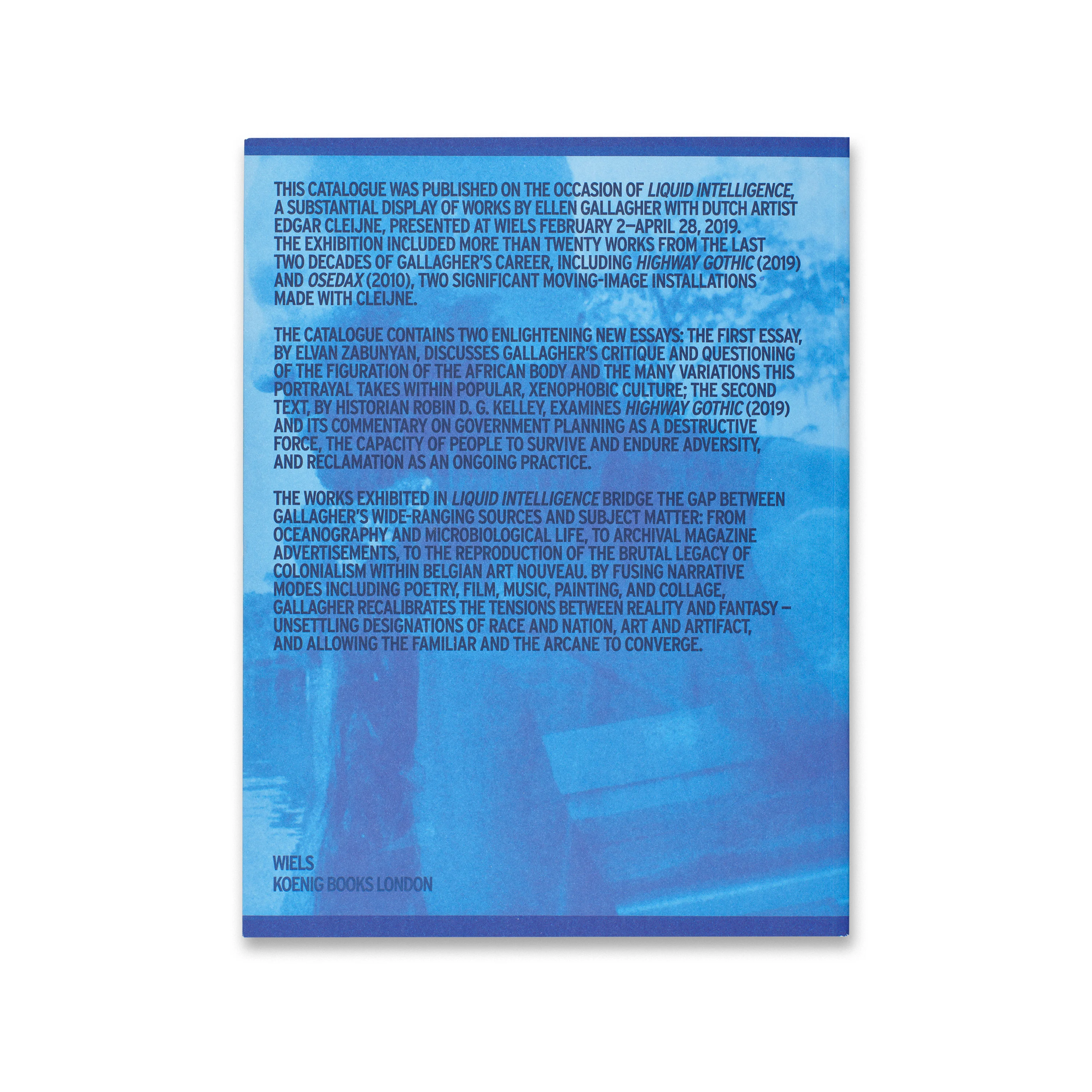 Liquid Intelligence: Ellen Gallagher with Edgar Cleijne - Image 5