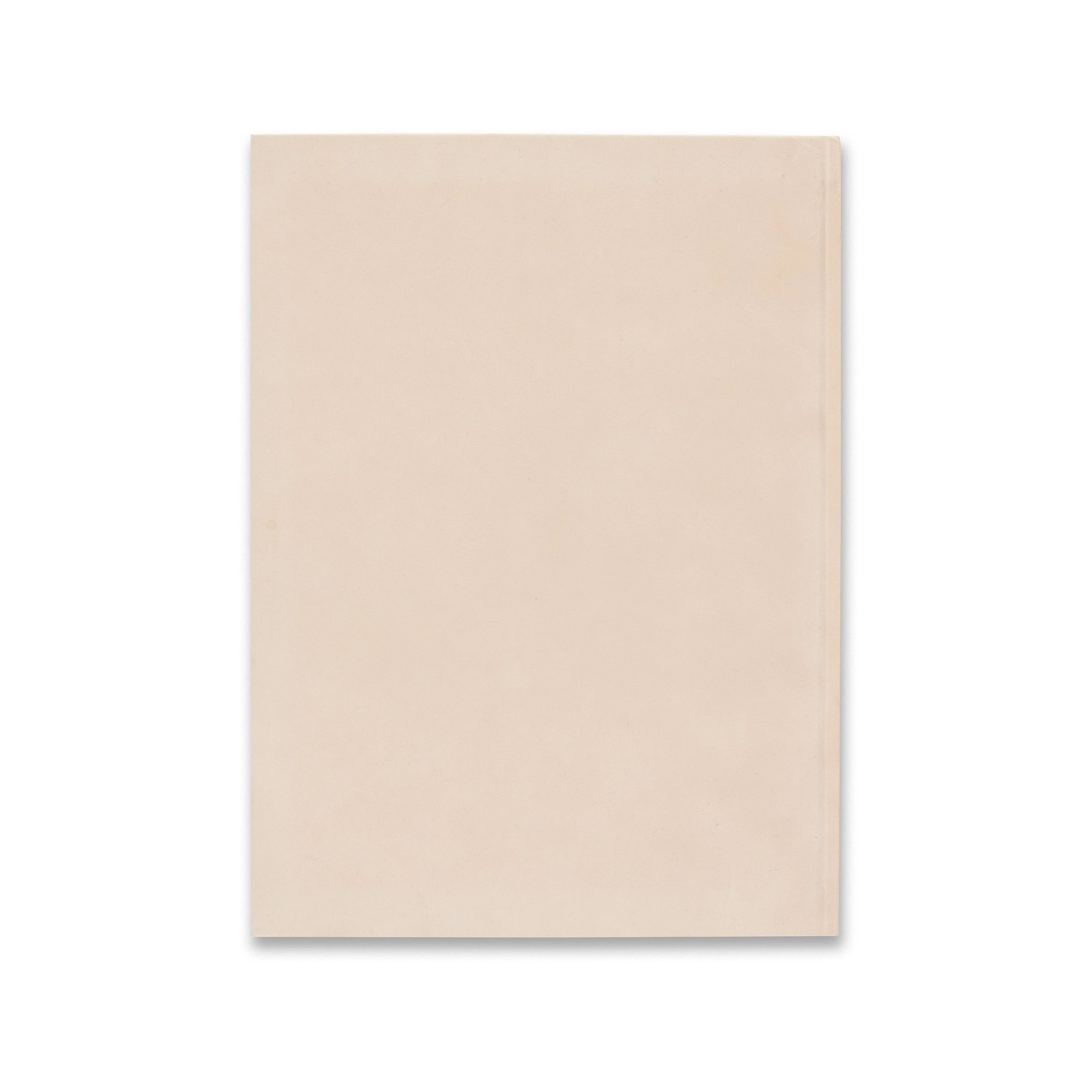 Louise Bonnet: Recent Paintings - Image 5