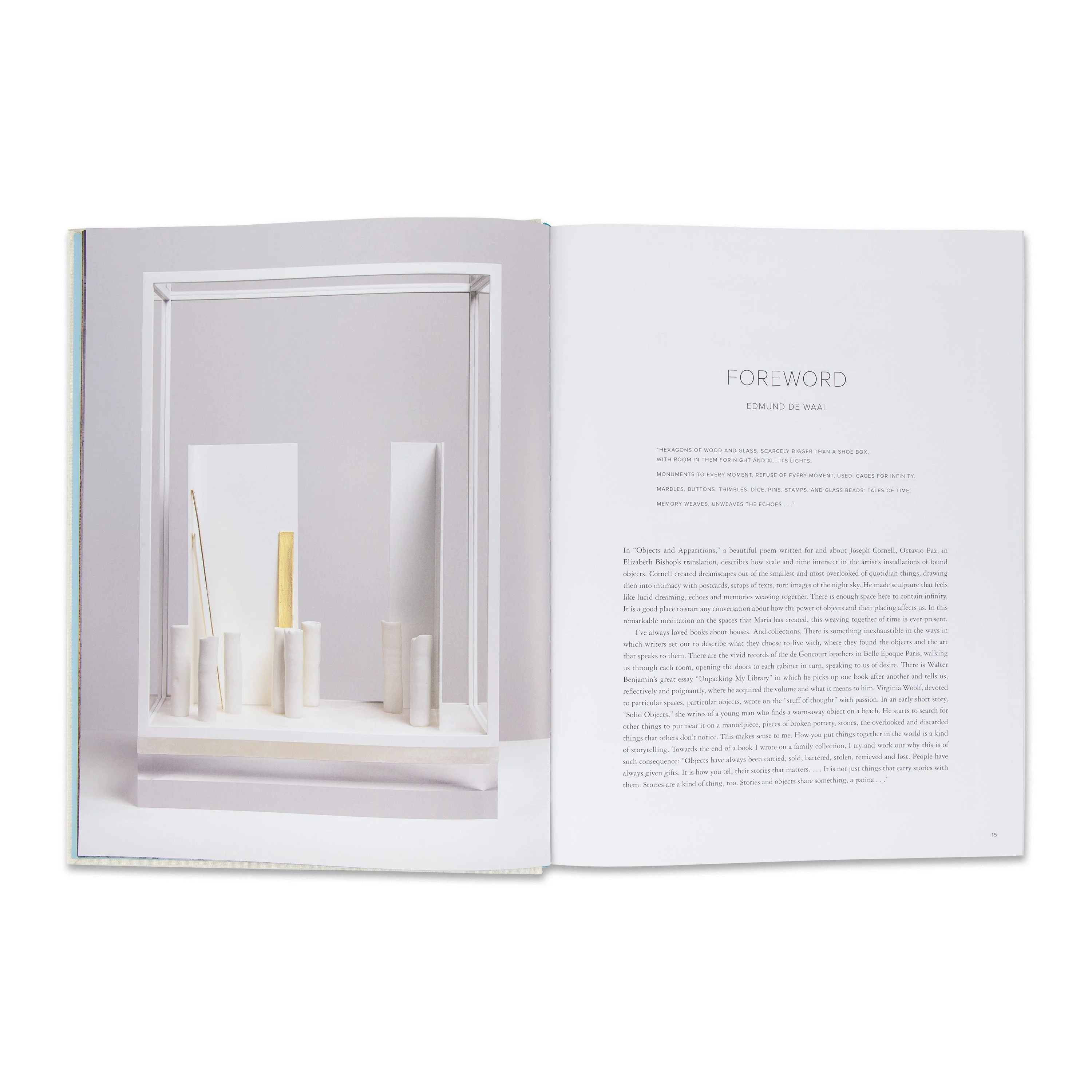 Maria Hummer-Tuttle: Objects of Desire - Image 2
