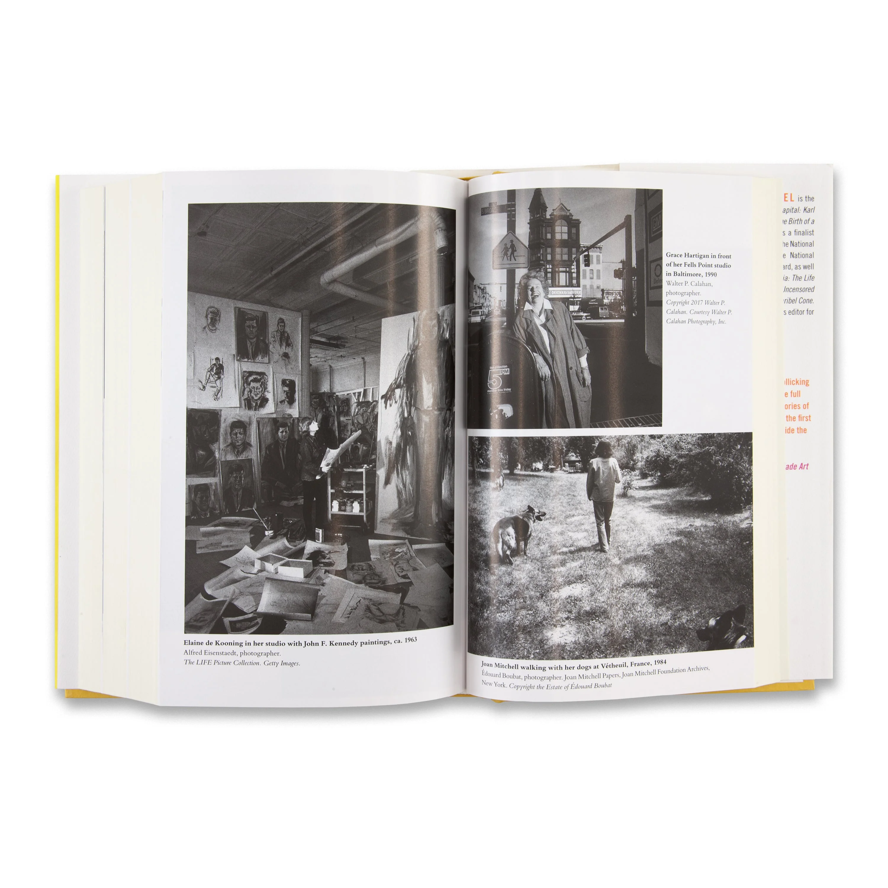 Mary Gabriel: Ninth Street Women: Lee Krasner, Elaine de Kooning, Grace Hartigan, Joan Mitchell, and Helen Frankenthaler - Image 5