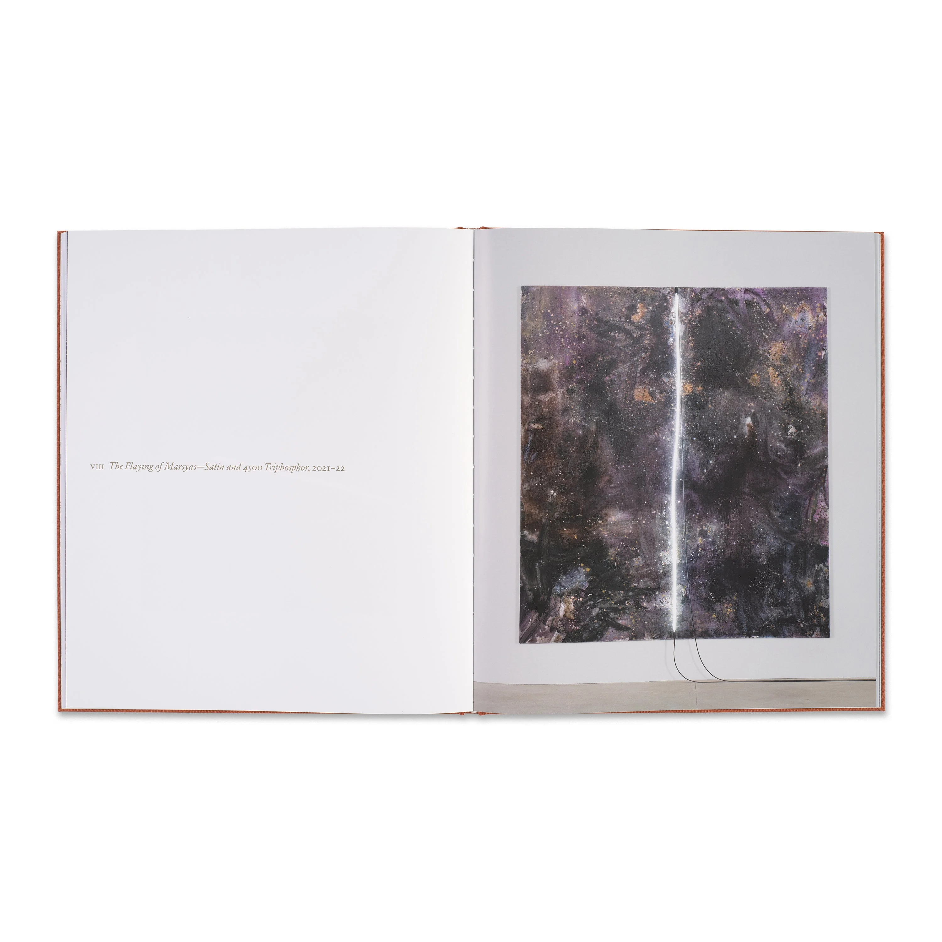 Mary Weatherford: The Flaying of Marsyas - Image 6
