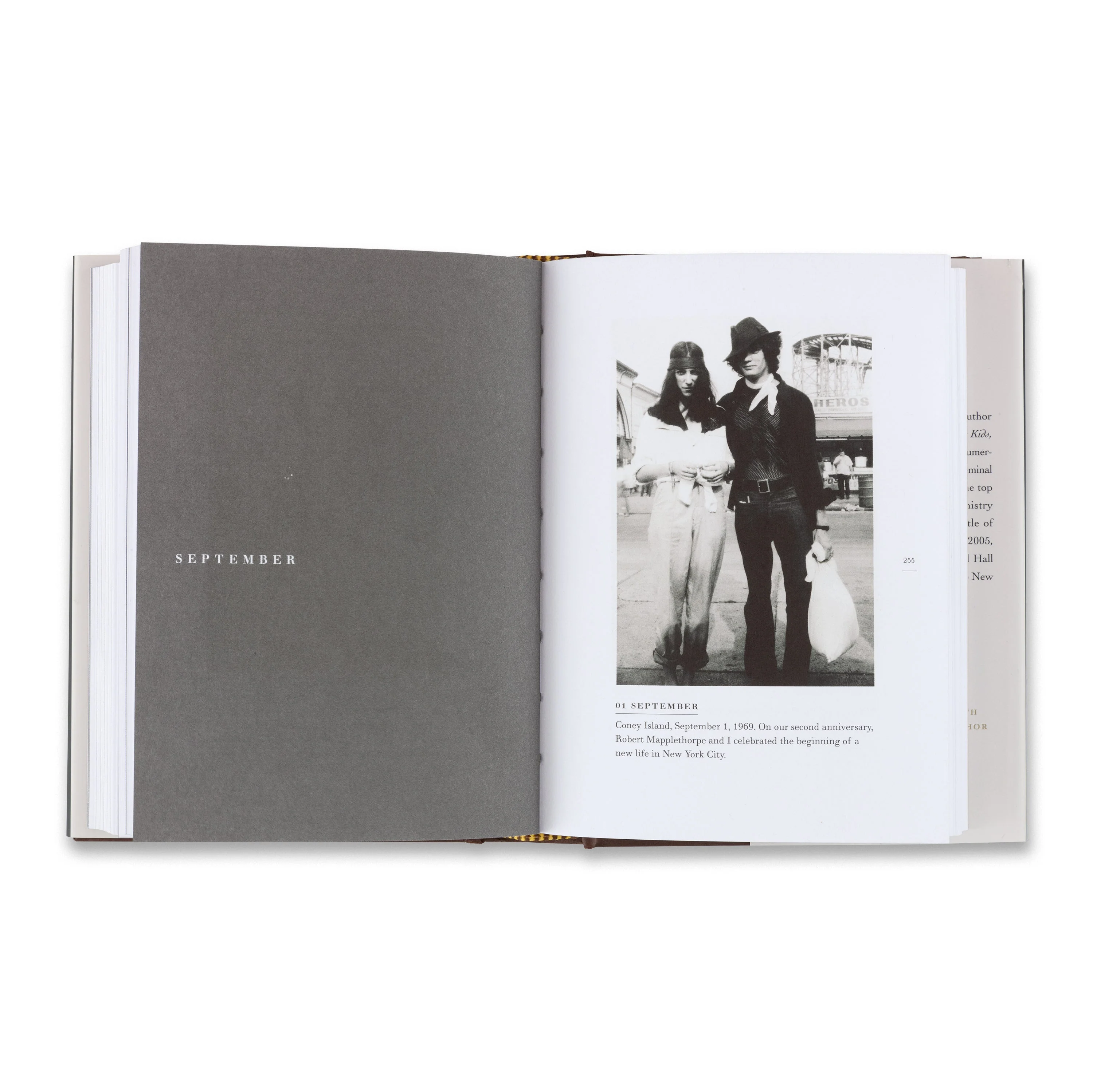 Patti Smith: Book of Days - Image 3