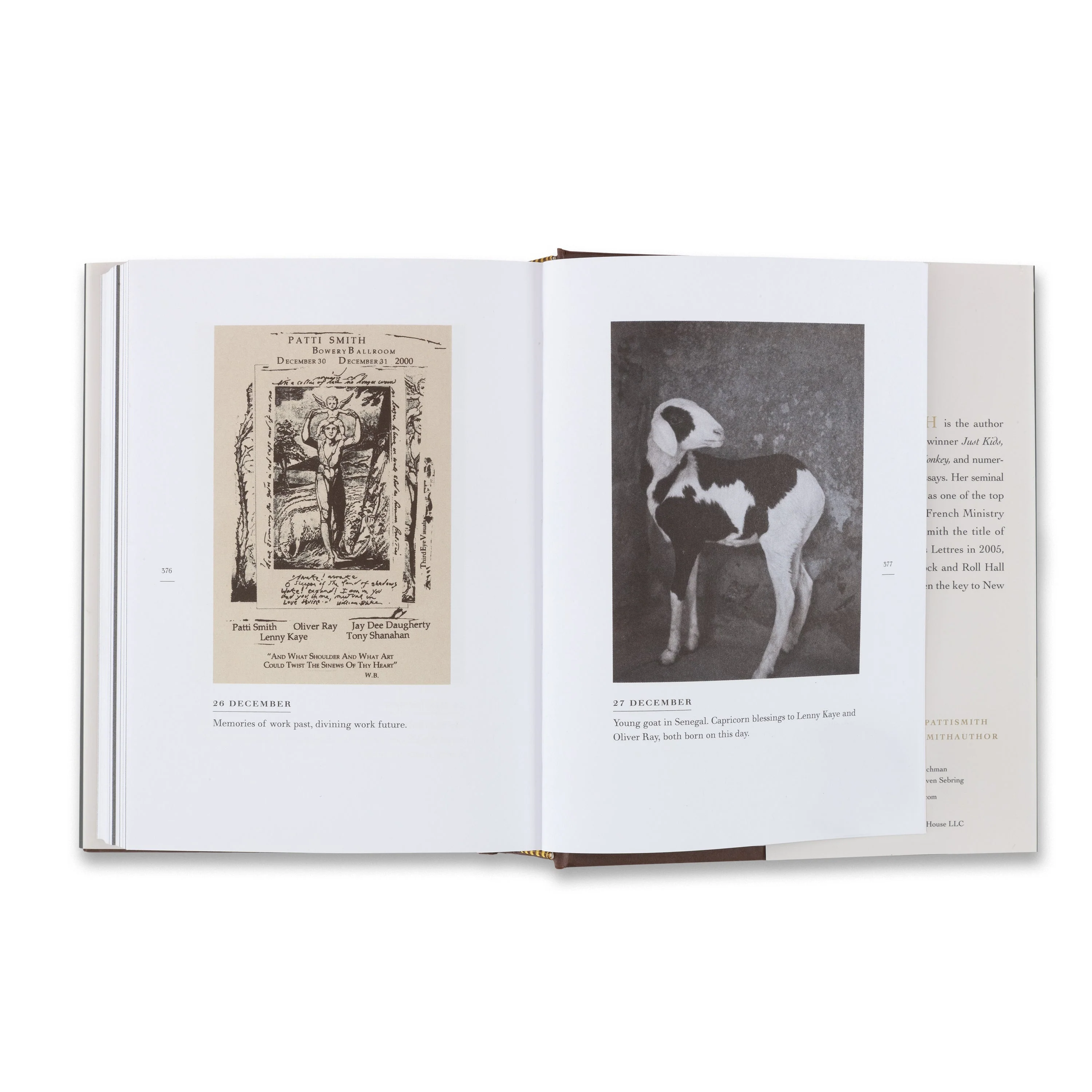 Patti Smith: Book of Days - Image 4