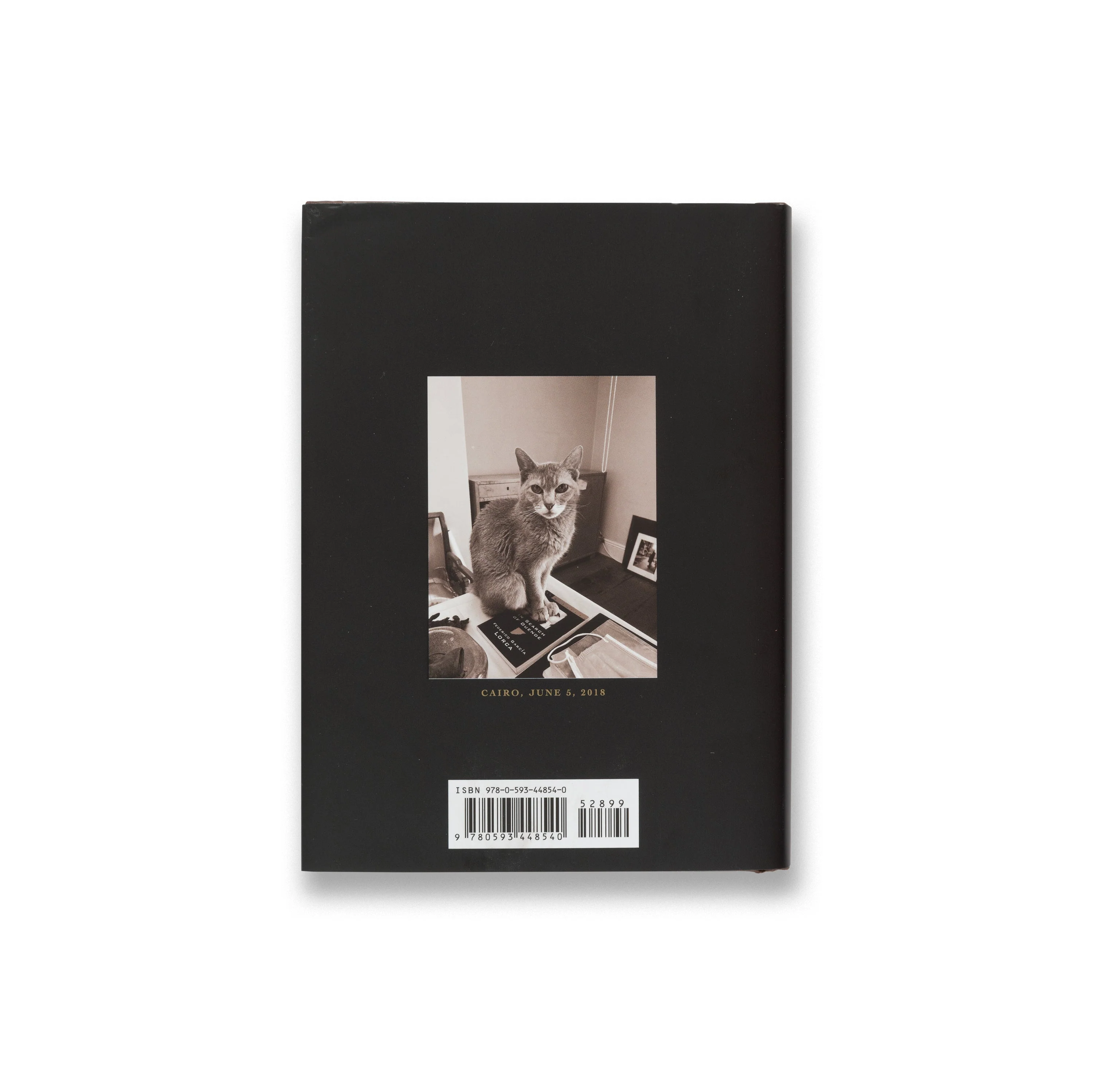 Patti Smith: Book of Days - Image 5
