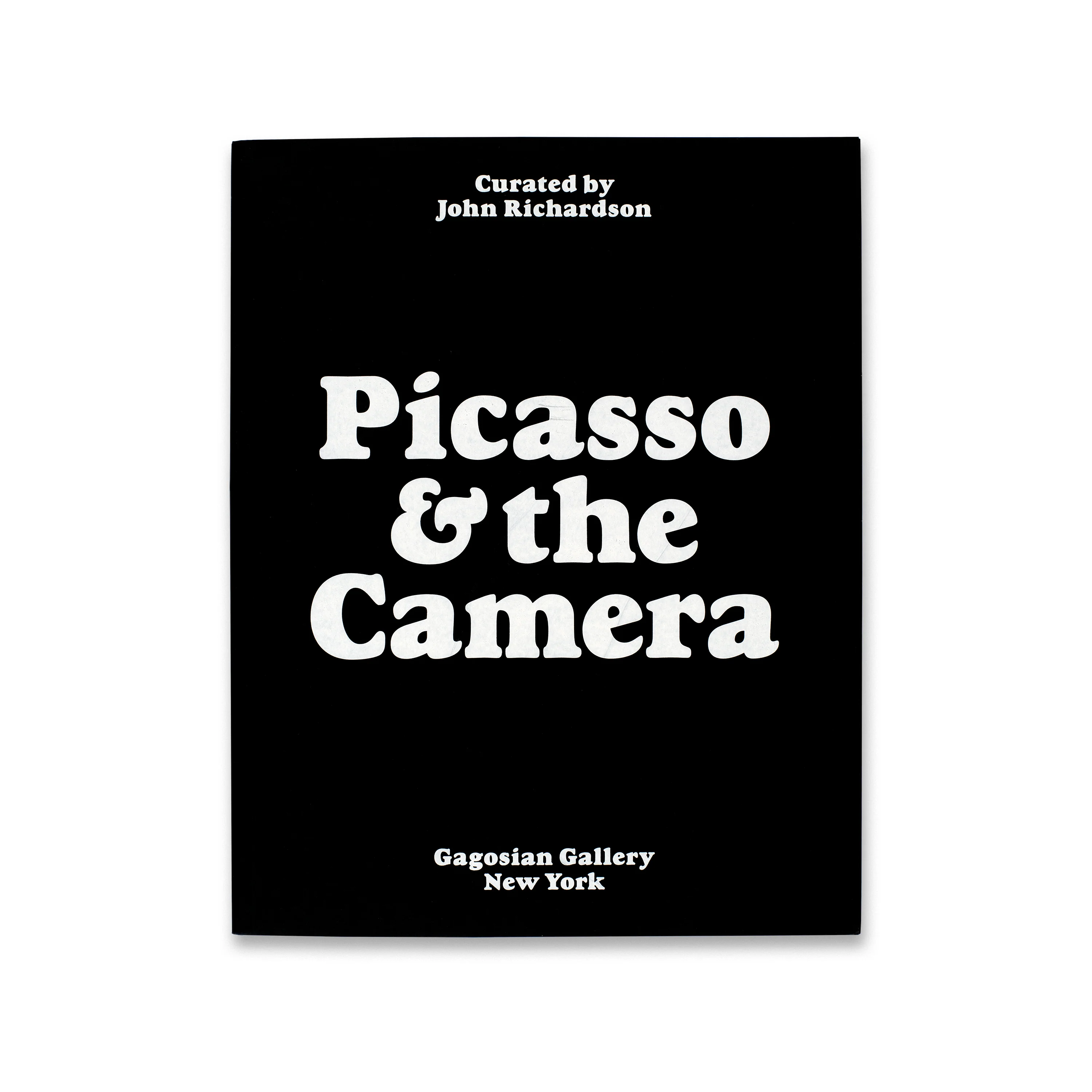 Picasso & the Camera - Image 2