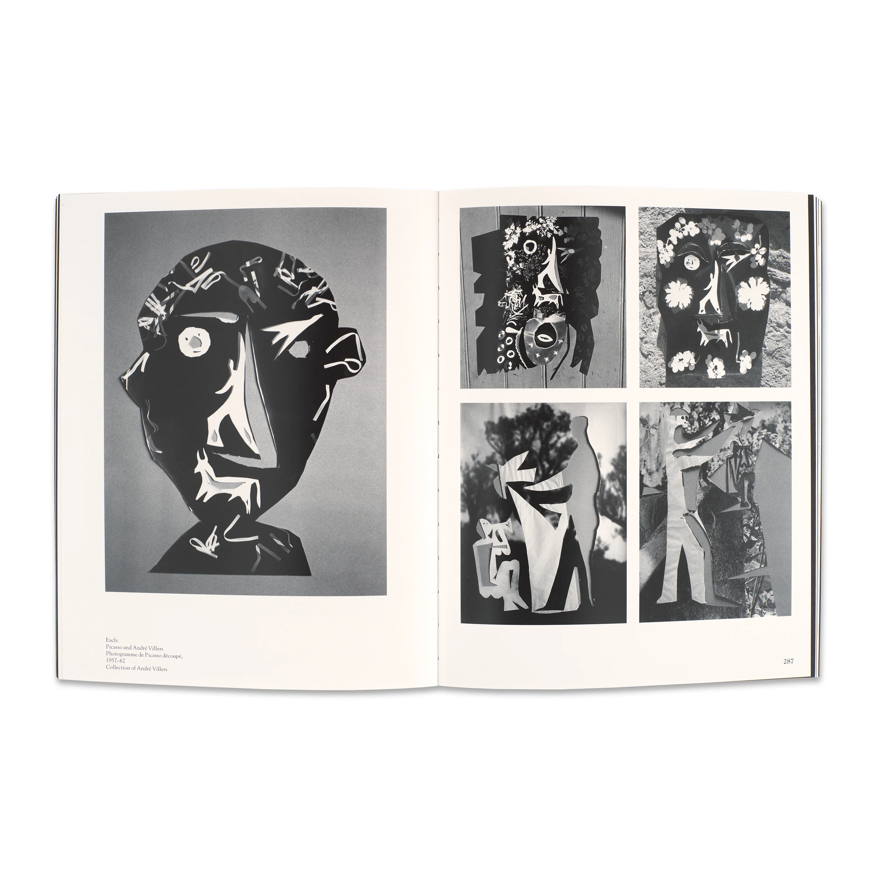 Picasso & the Camera - Image 4