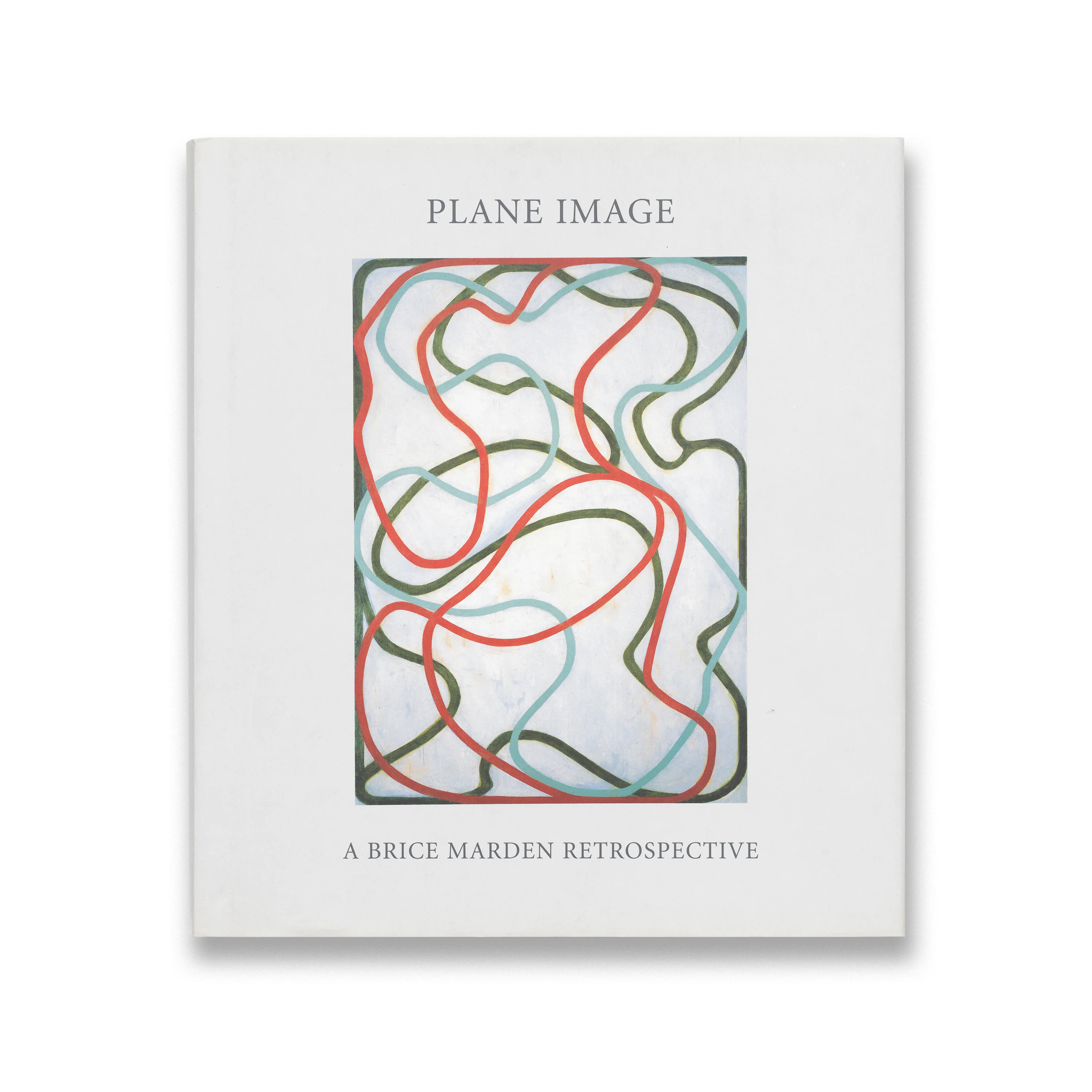 Plane Image: A Brice Marden Retrospective