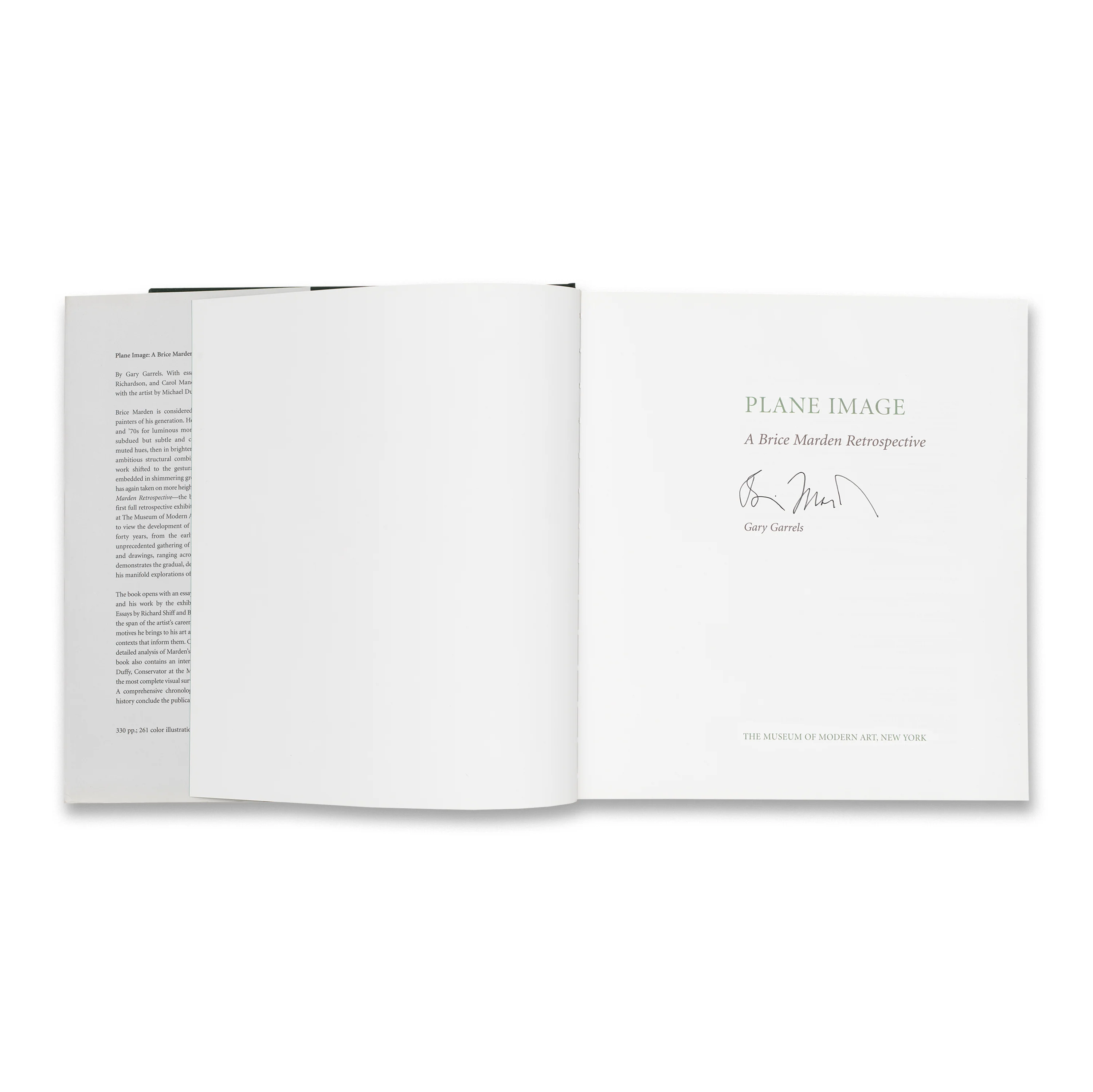 Plane Image: A Brice Marden Retrospective - Image 2