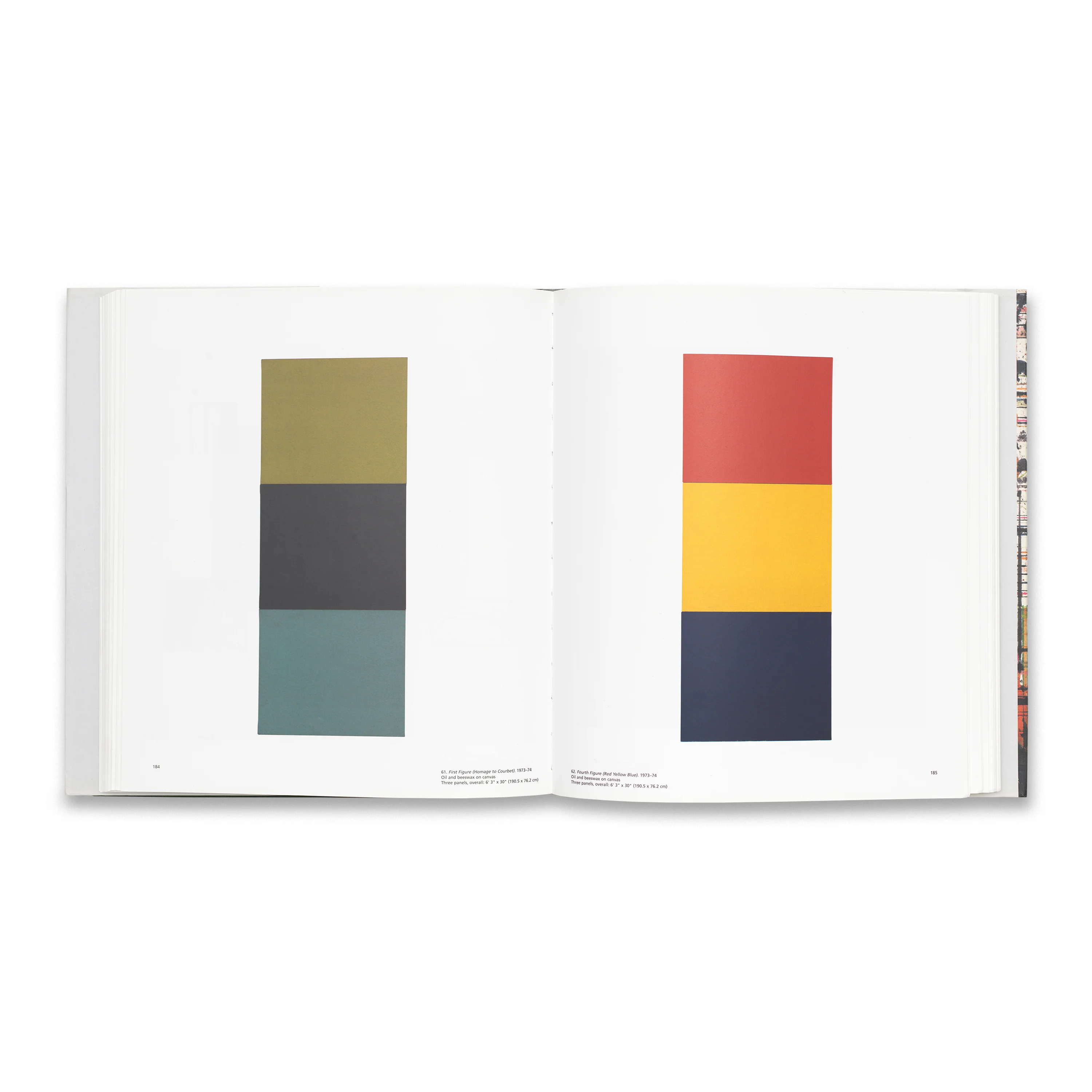 Plane Image: A Brice Marden Retrospective - Image 3