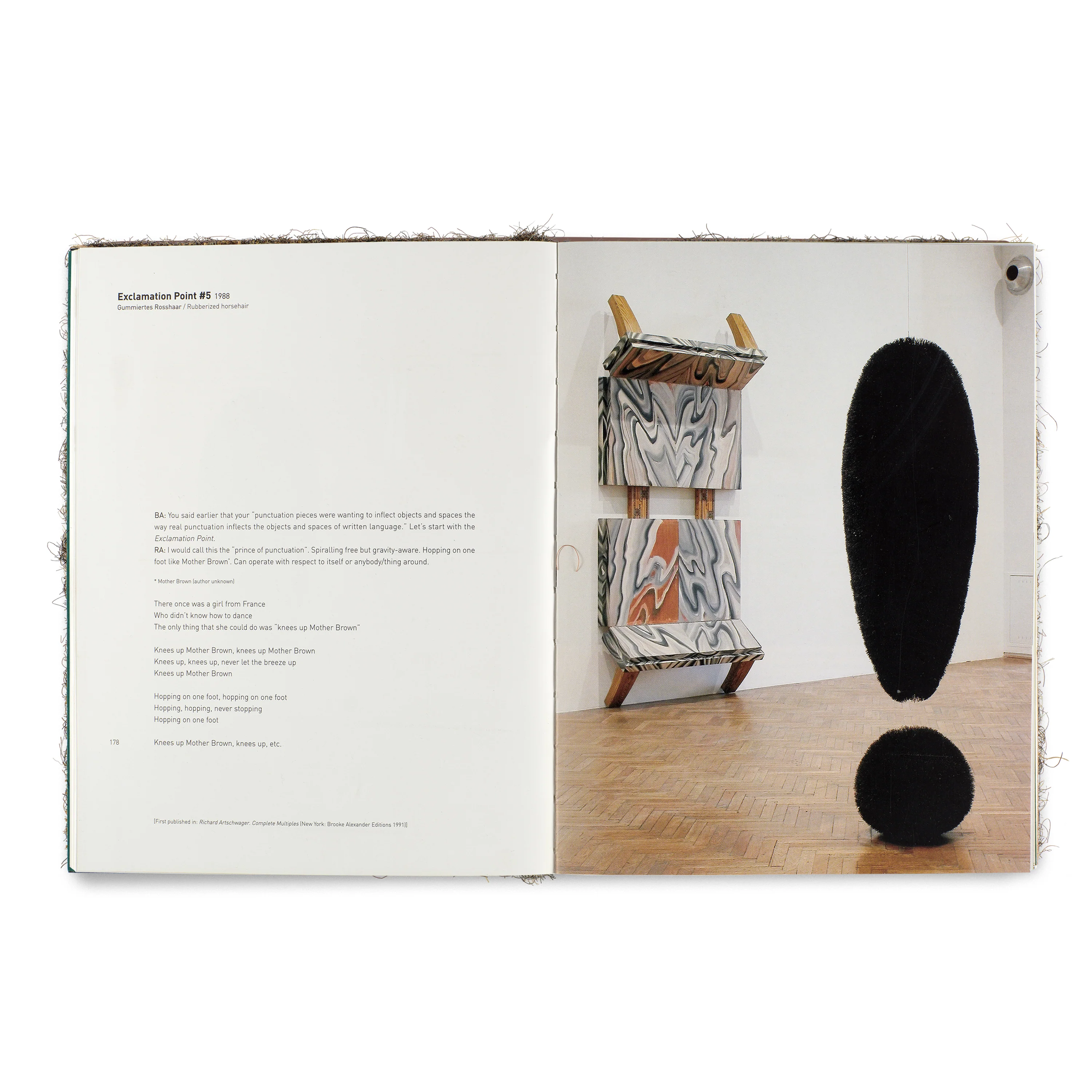 Richard Artschwager: The Hydraulic Door Check Deluxe Edition - Image 4