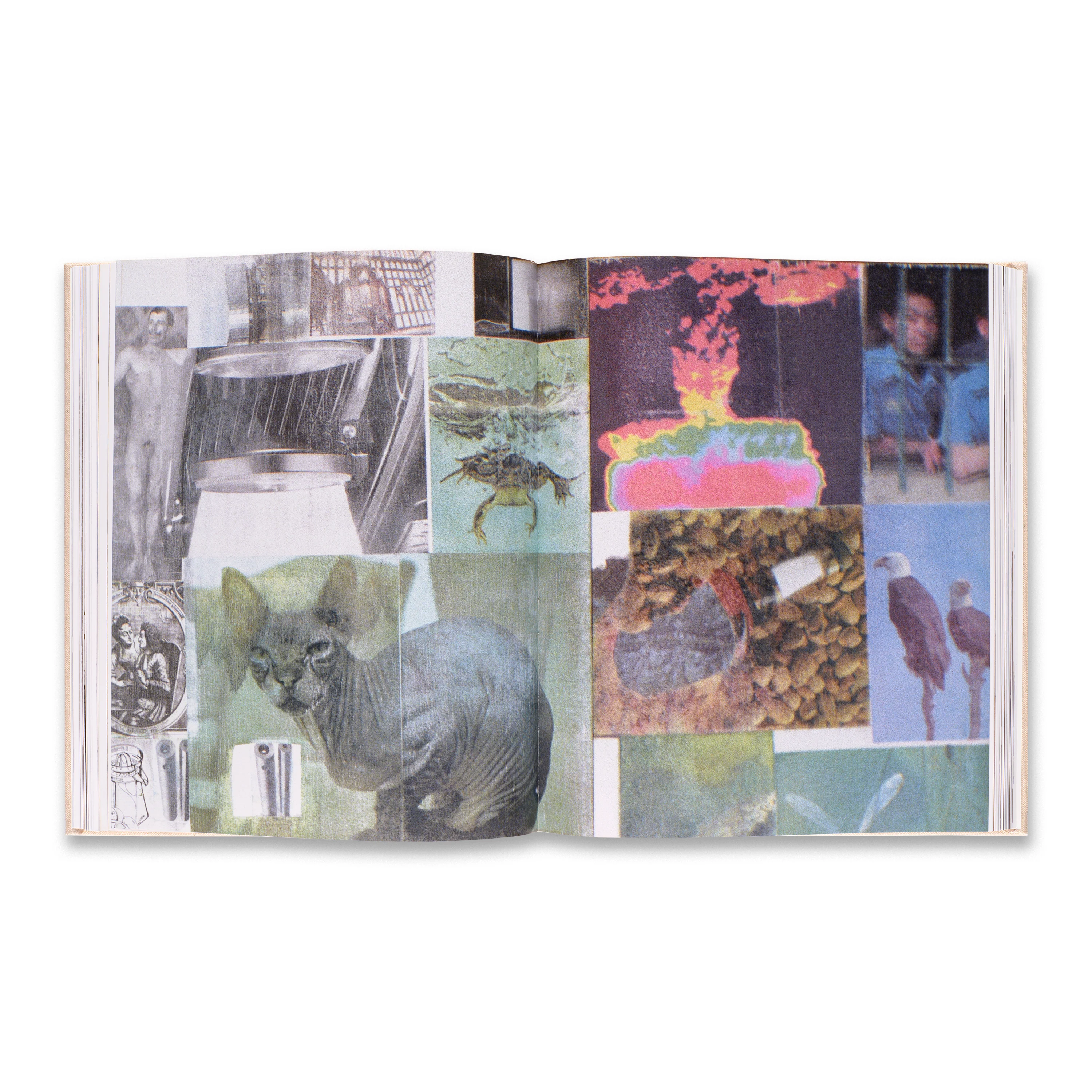 Robert Rauschenberg - Image 4