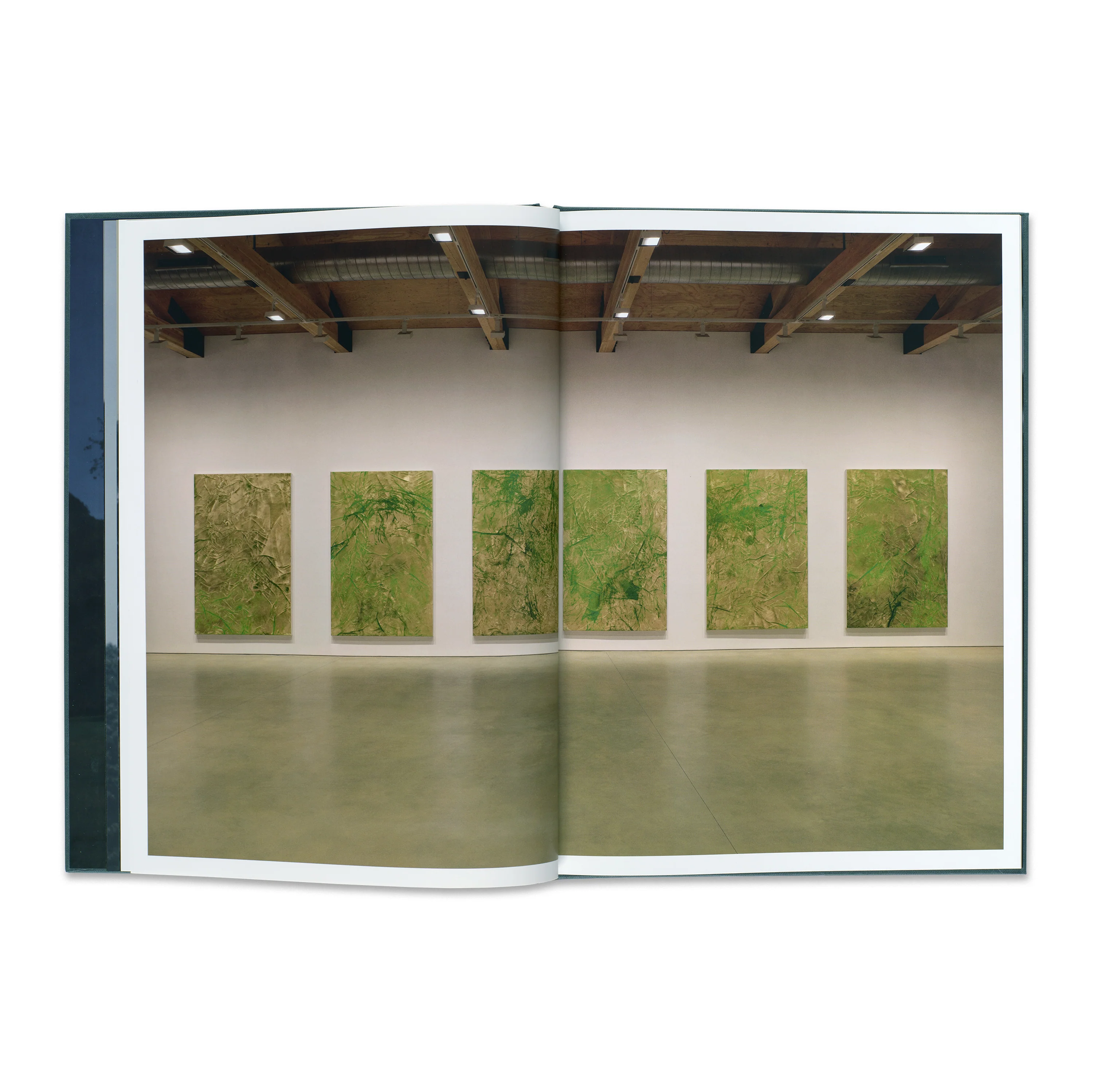 Rudolf Stingel: Vineyard Paintings - Image 2
