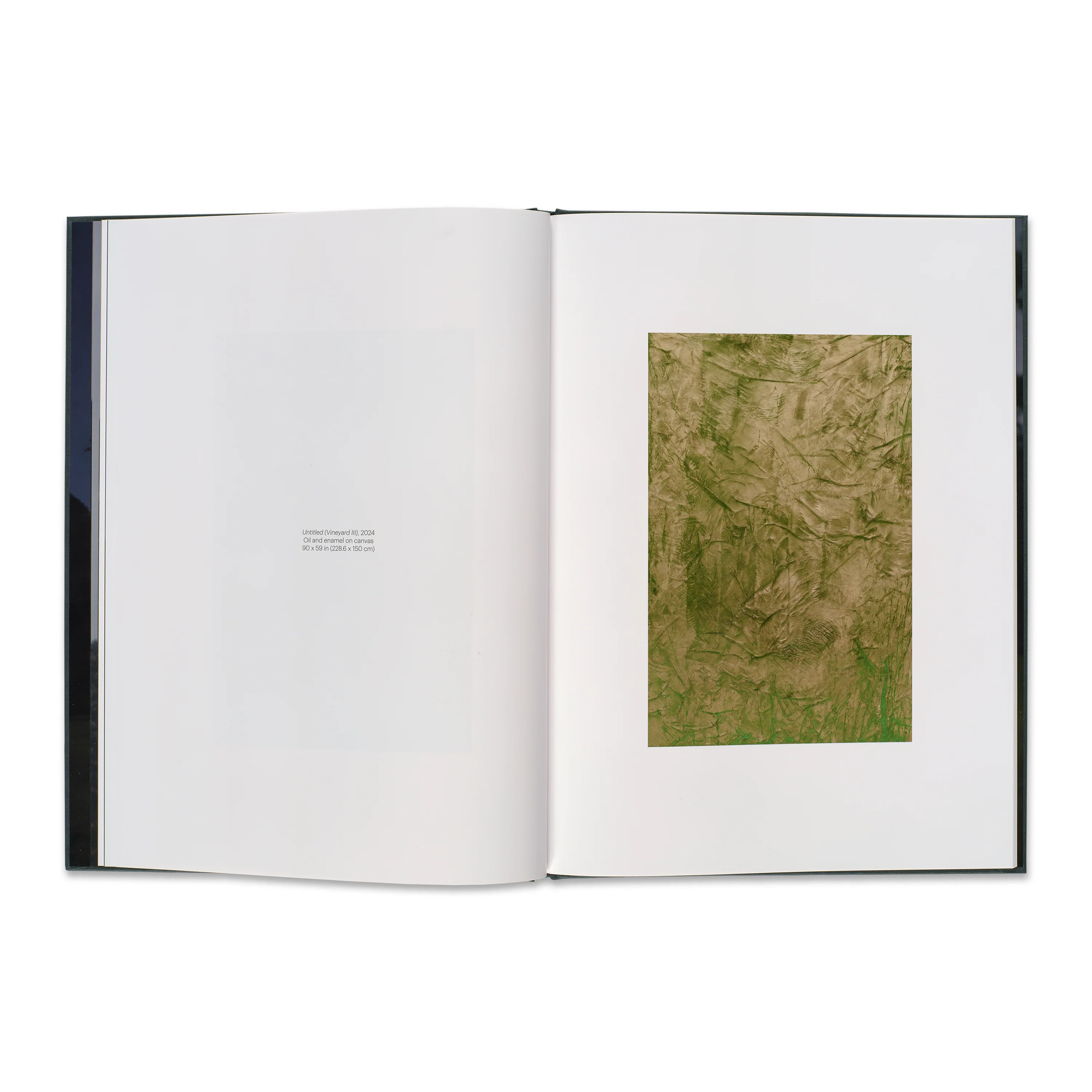 Rudolf Stingel: Vineyard Paintings - Image 4