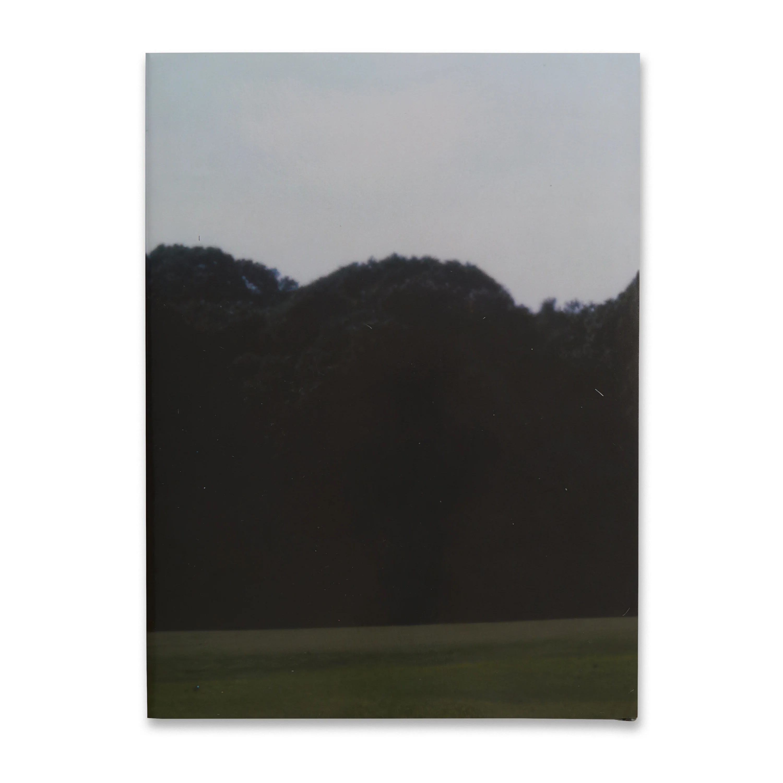 Rudolf Stingel: Vineyard Paintings - Image 5