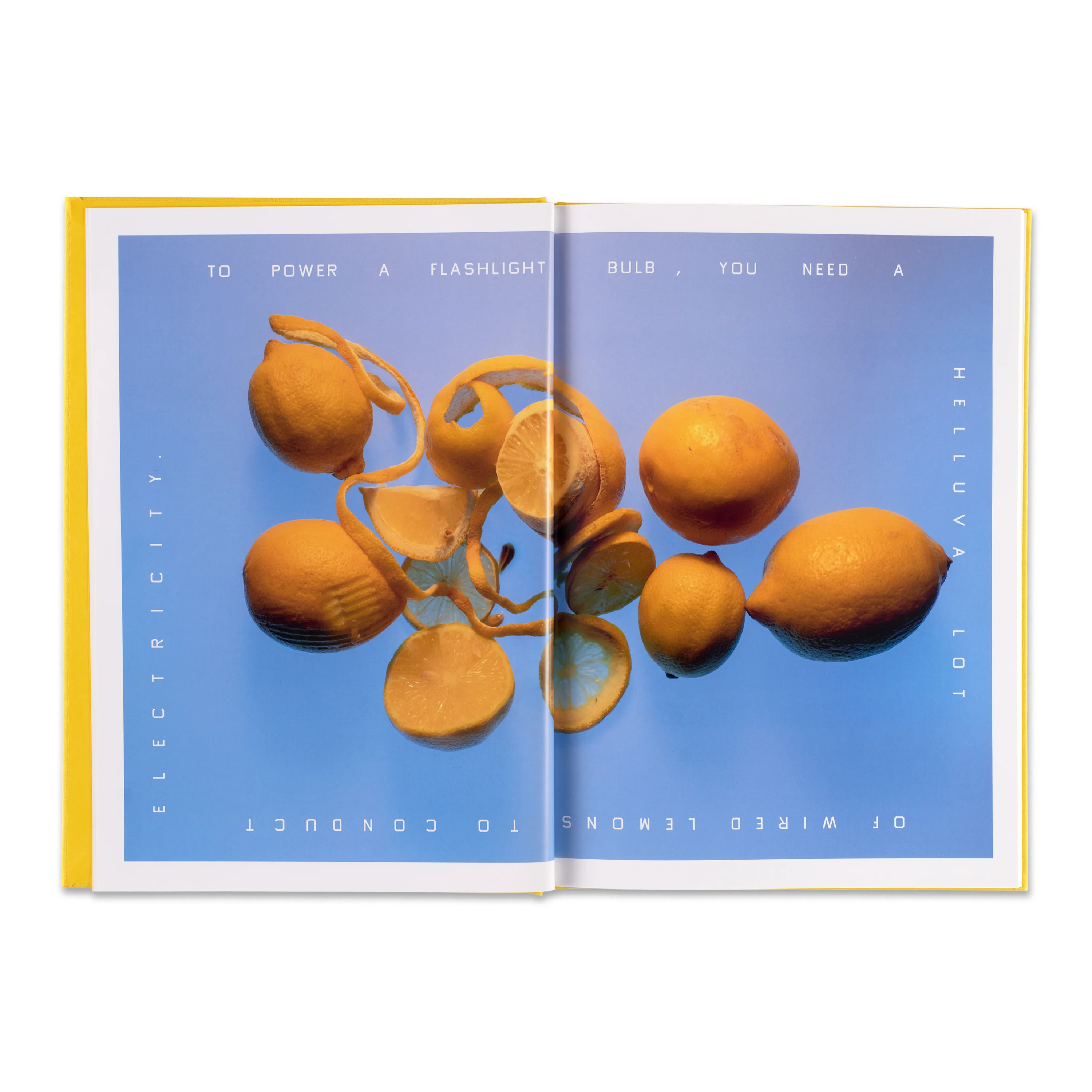 Ruthie Rogers and Ed Ruscha: Squeeze Me: Lemon Recipes & Art - Image 2