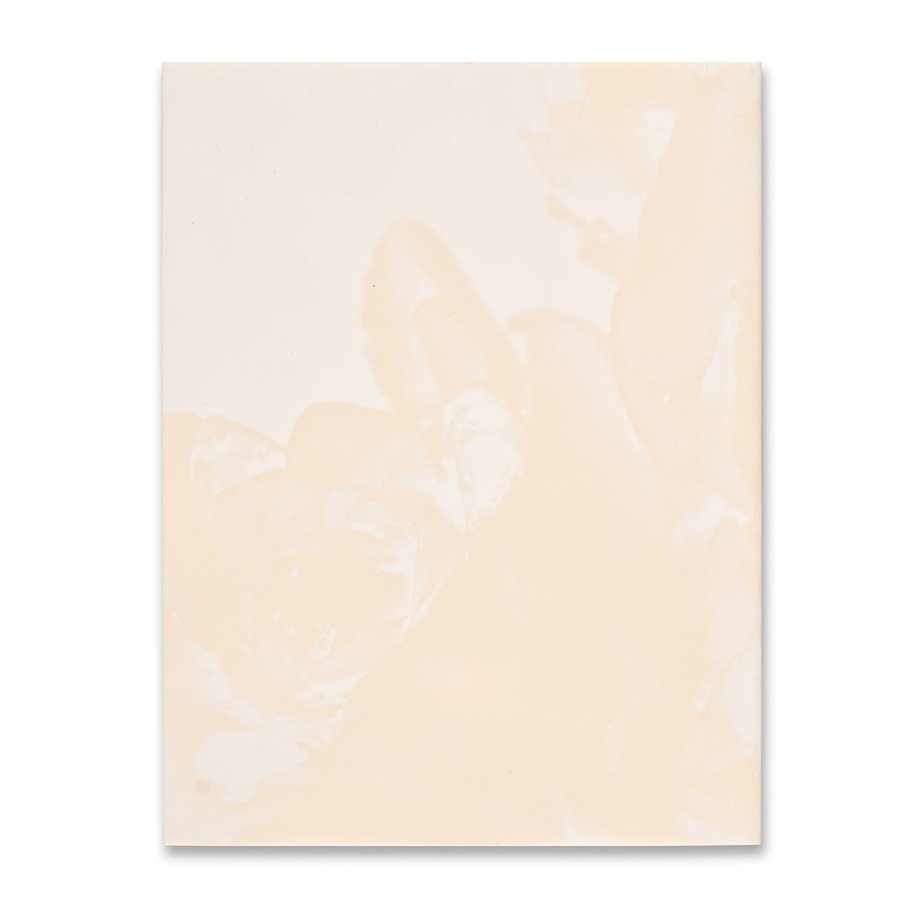 Setsuko: Into Nature - Image 5