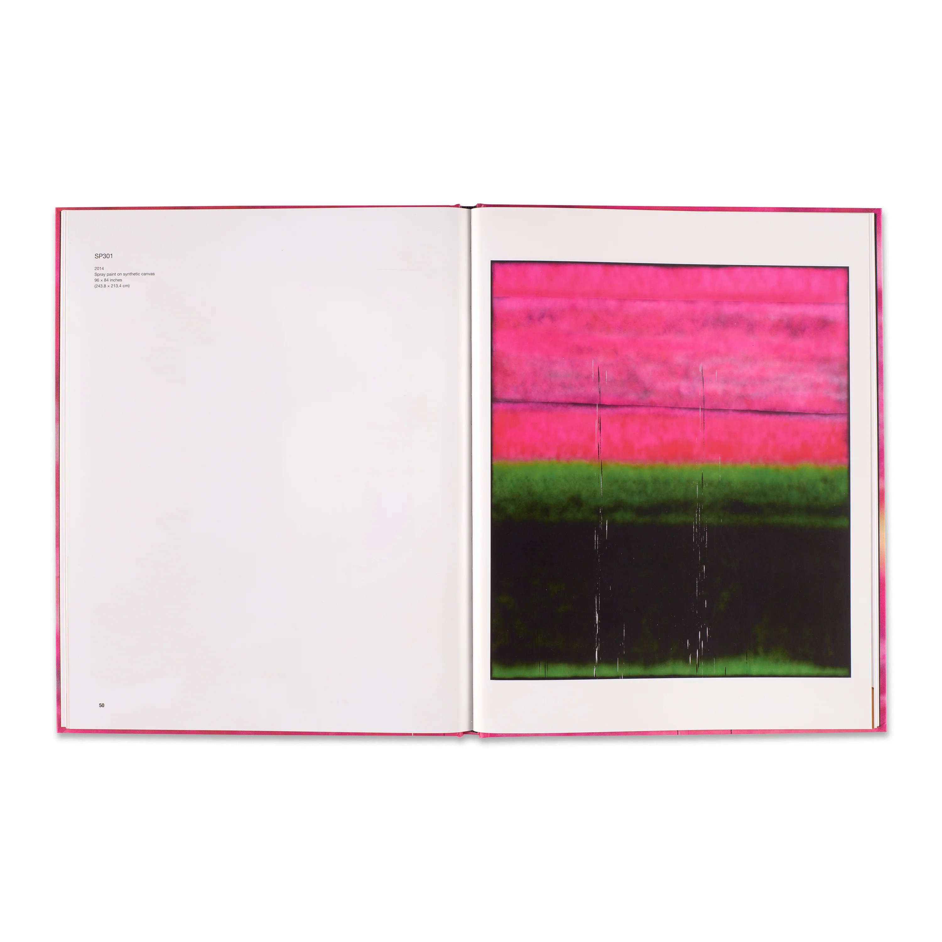 Sterling Ruby: VIVIDS - Image 3