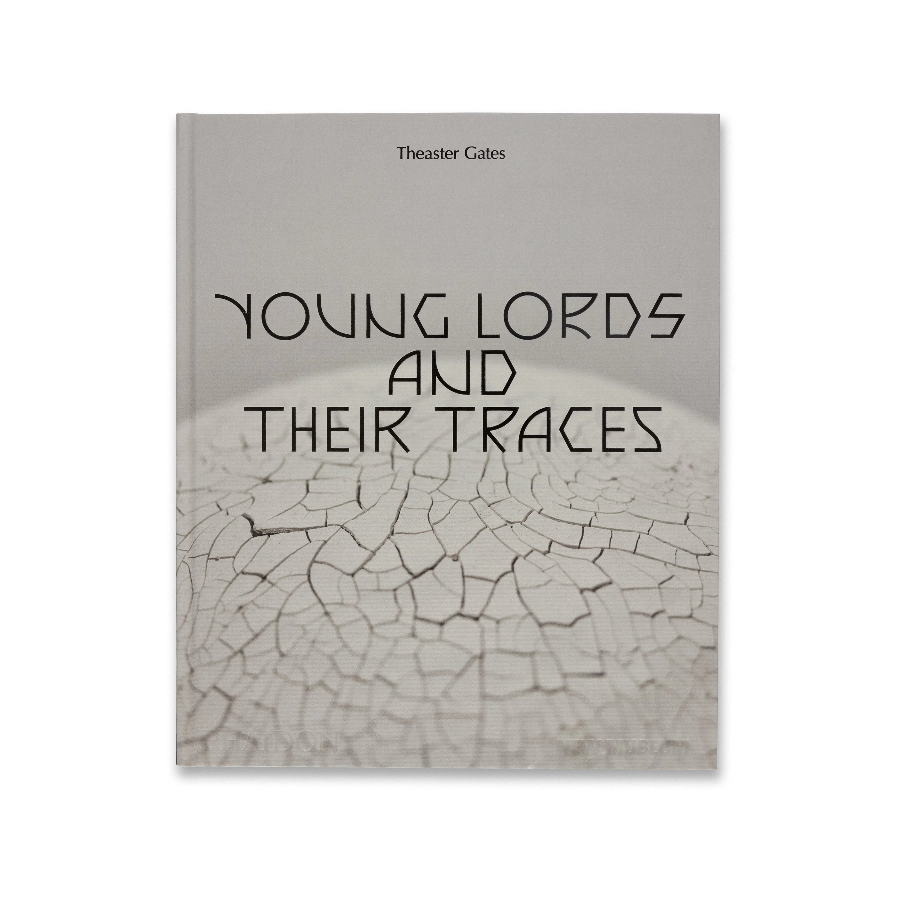 Theaster Gates: Young Lords and Their Traces