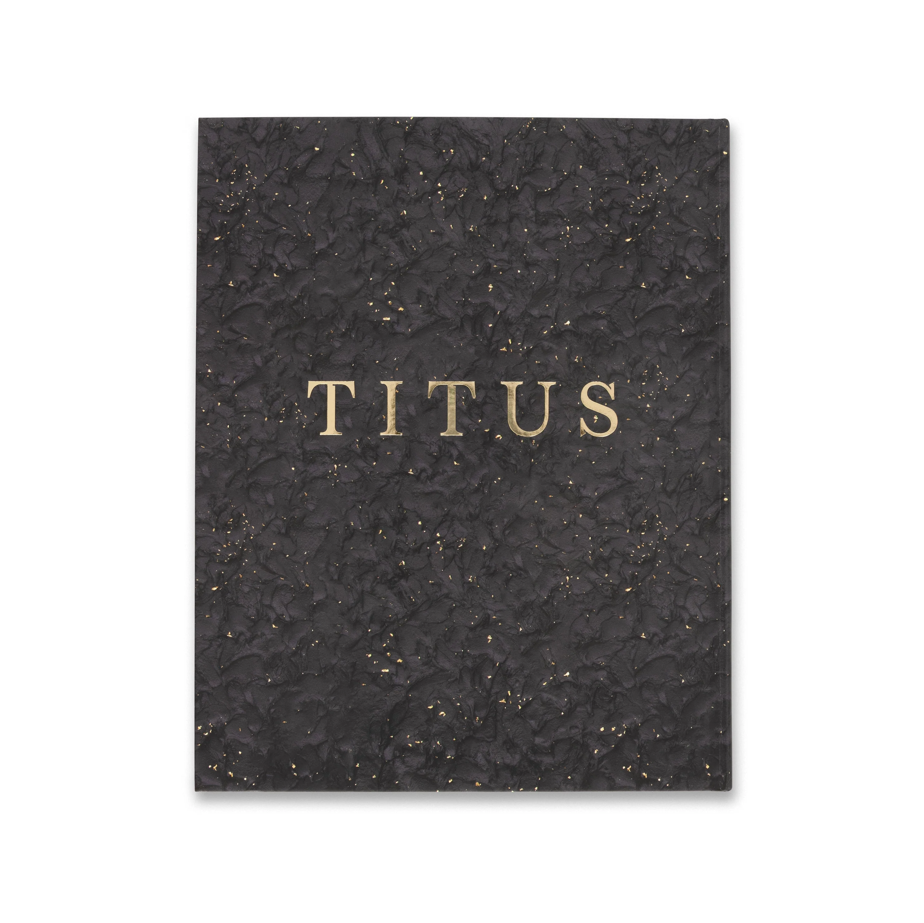 Titus Kaphar: Language of the Forgotten - Image 5